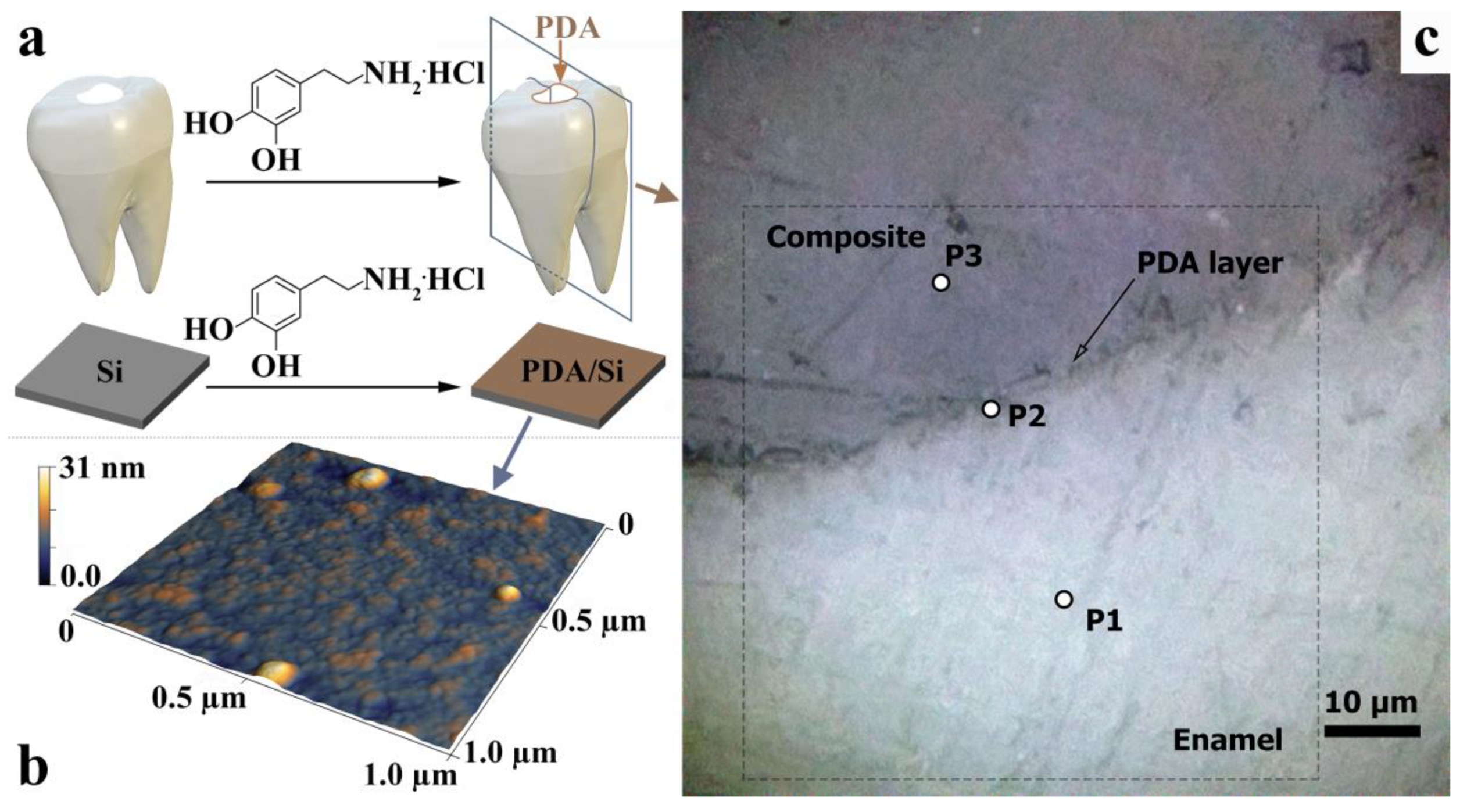 Ijms 24 11636 g001 Ijms 24 11636 g001