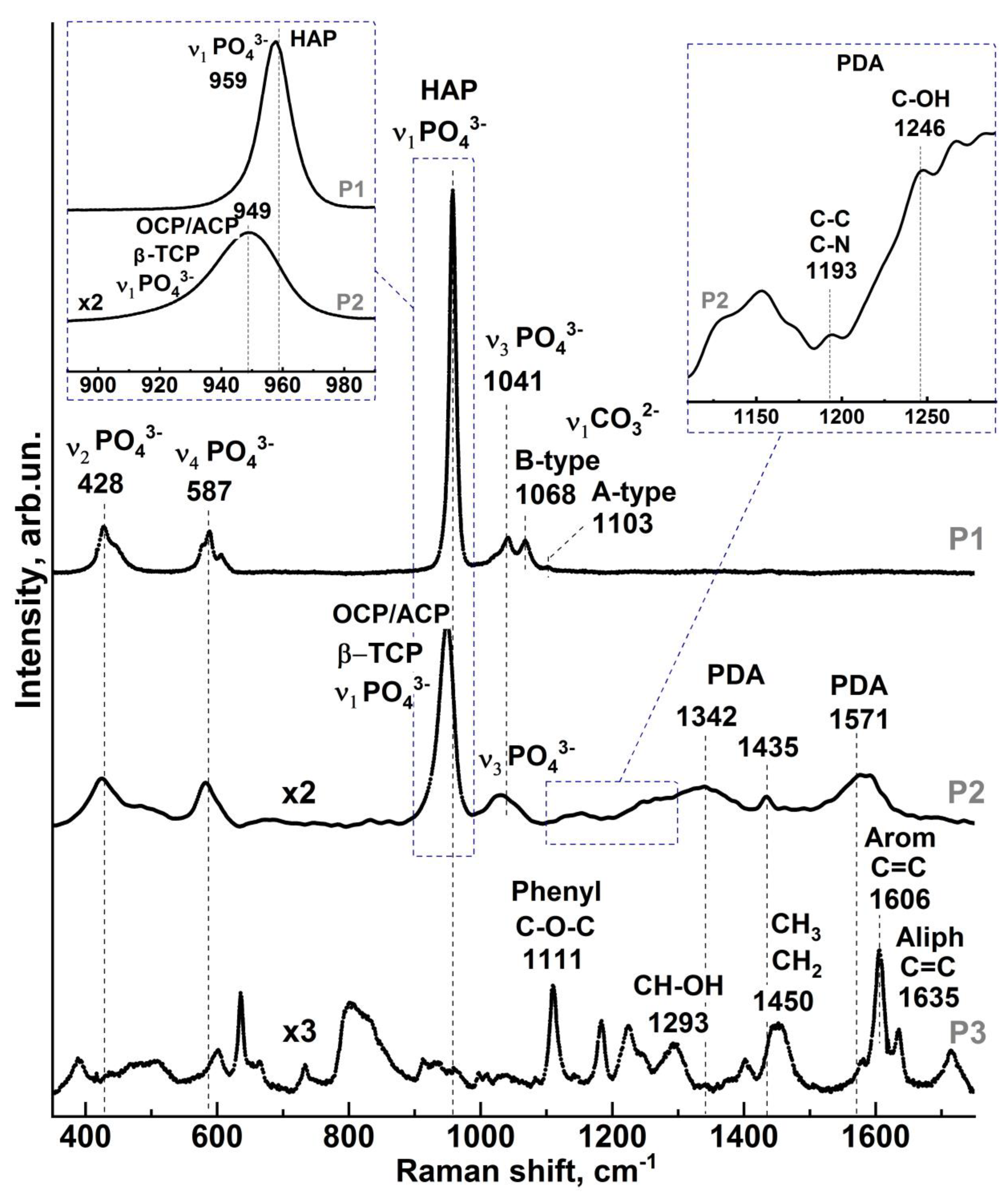 Ijms 24 11636 g002 Ijms 24 11636 g002