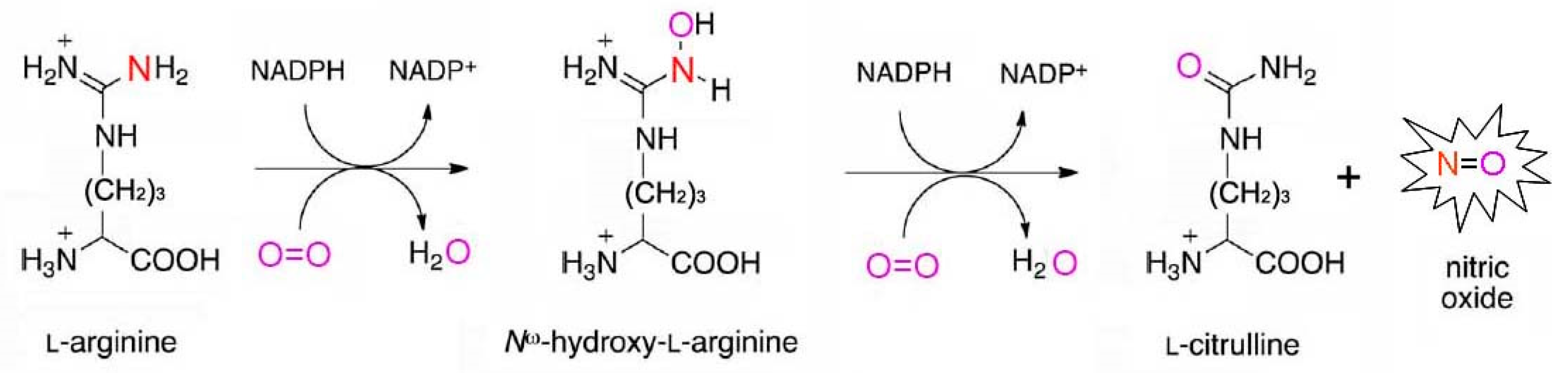 Ijms 24 11637 g002 Ijms 24 11637 g002