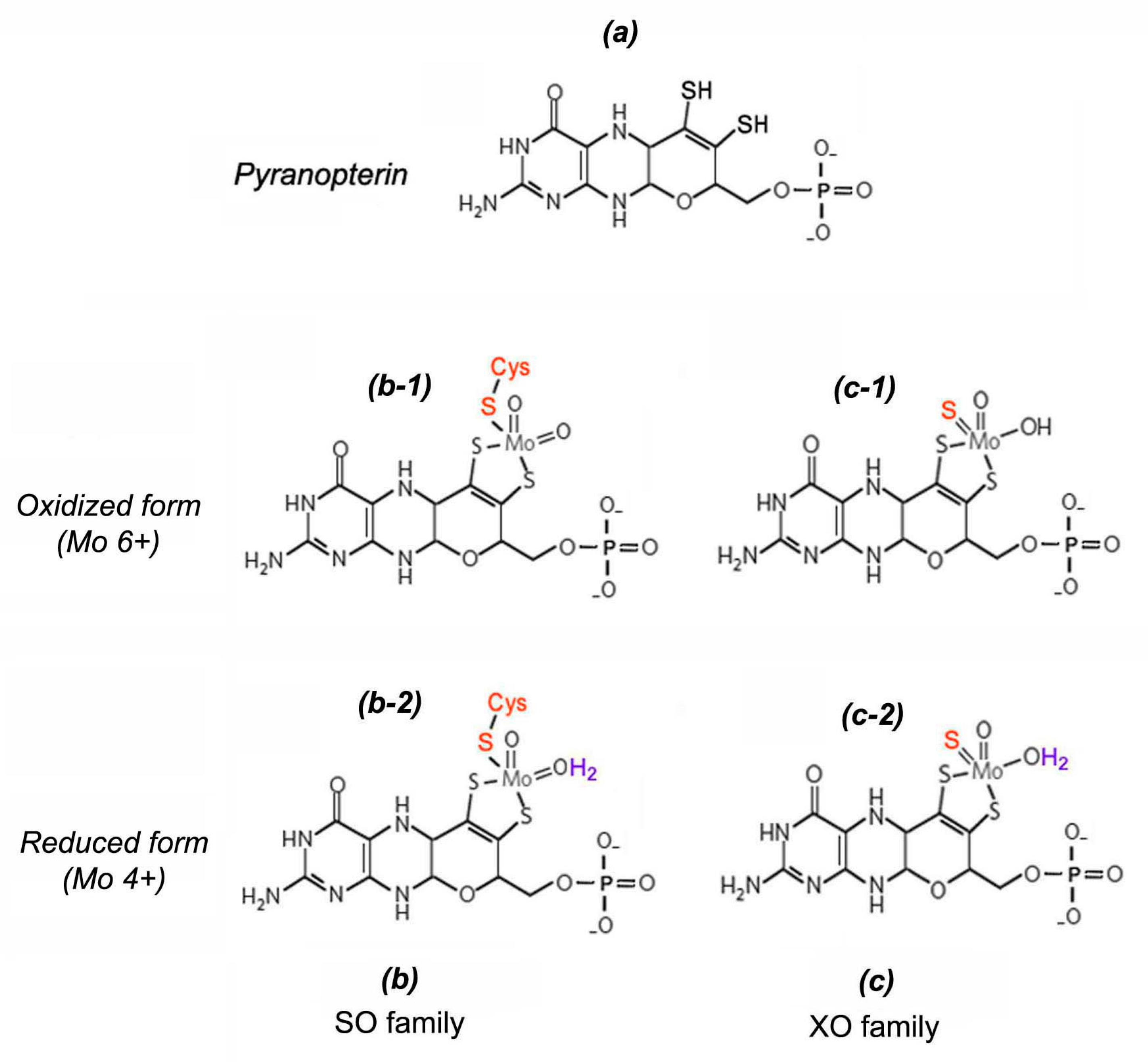 Ijms 24 11637 g003 Ijms 24 11637 g003