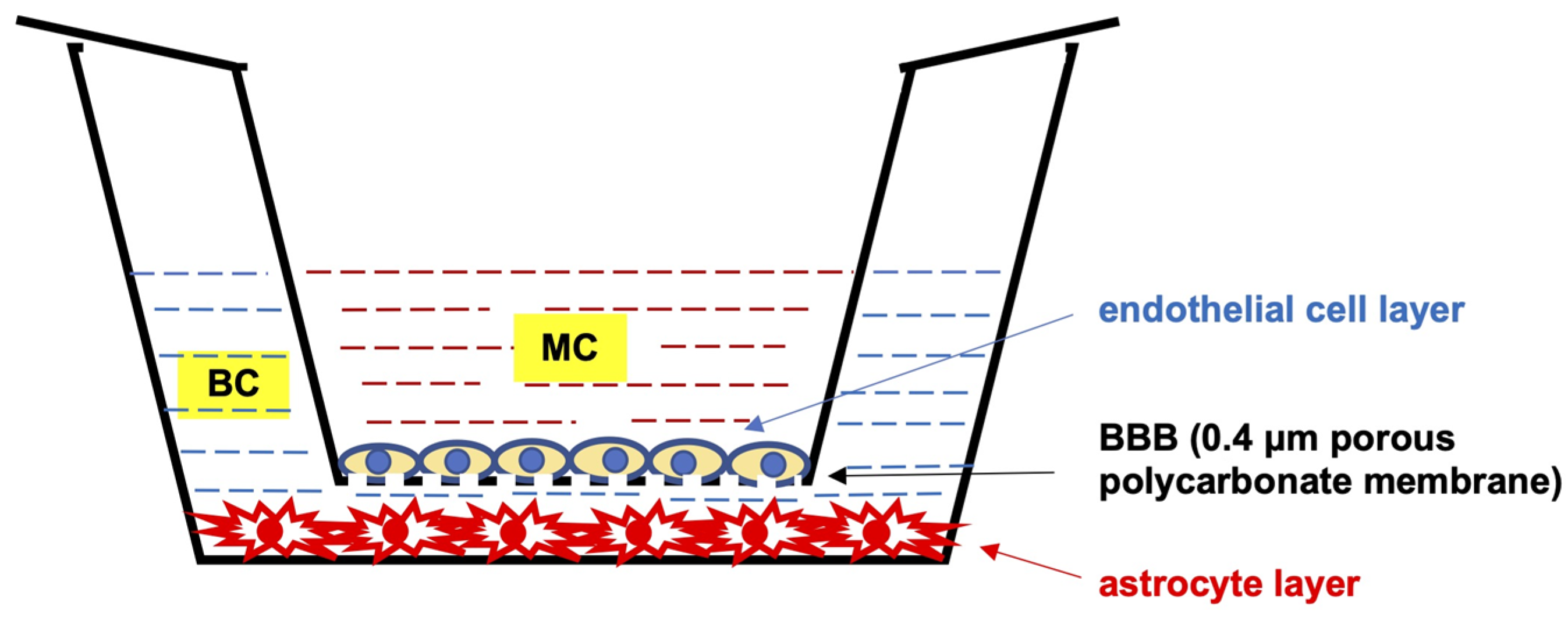 Ijms 24 11640 g001 Ijms 24 11640 g001