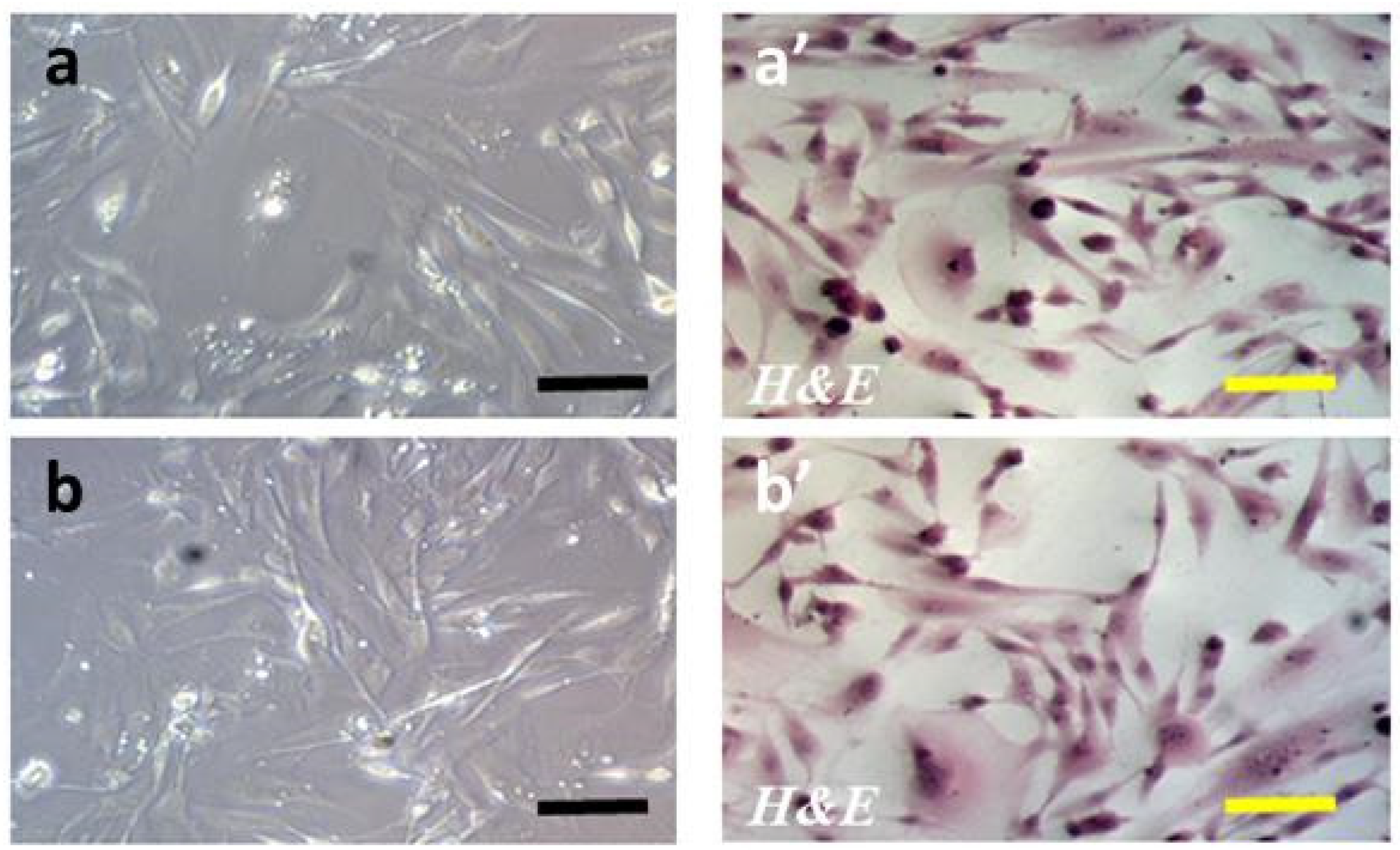 Ijms 24 11640 g003 Ijms 24 11640 g003