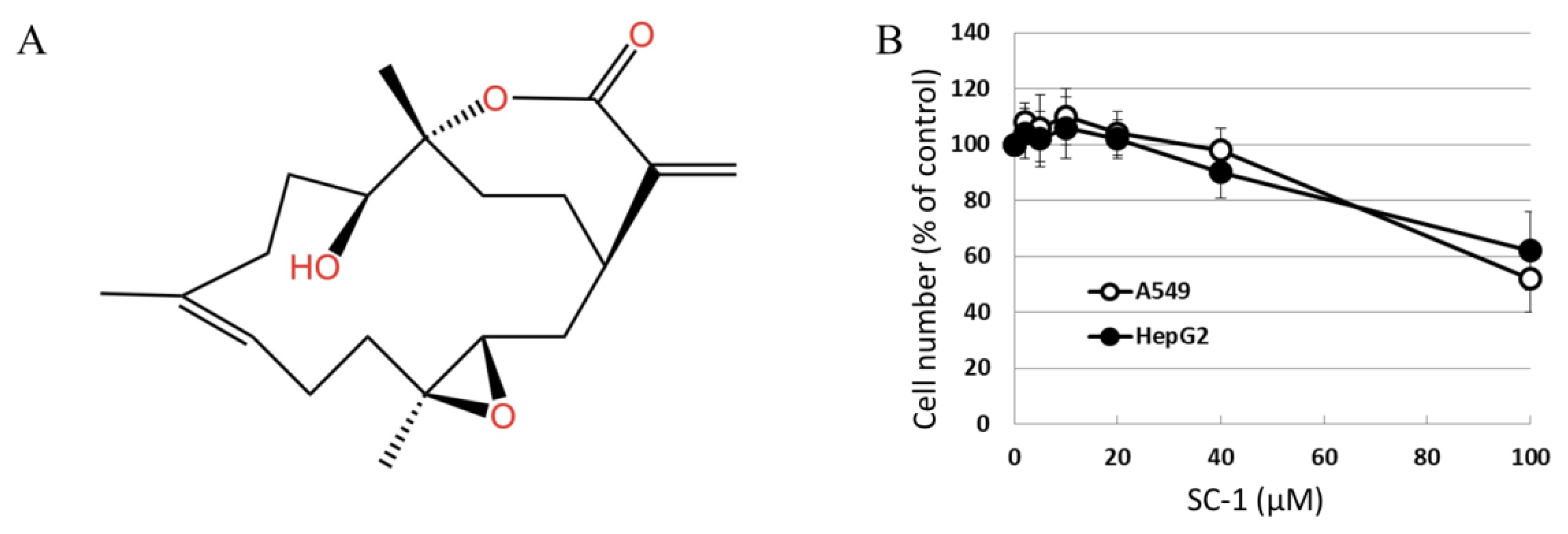 Ijms 24 11656 g001 Ijms 24 11656 g001