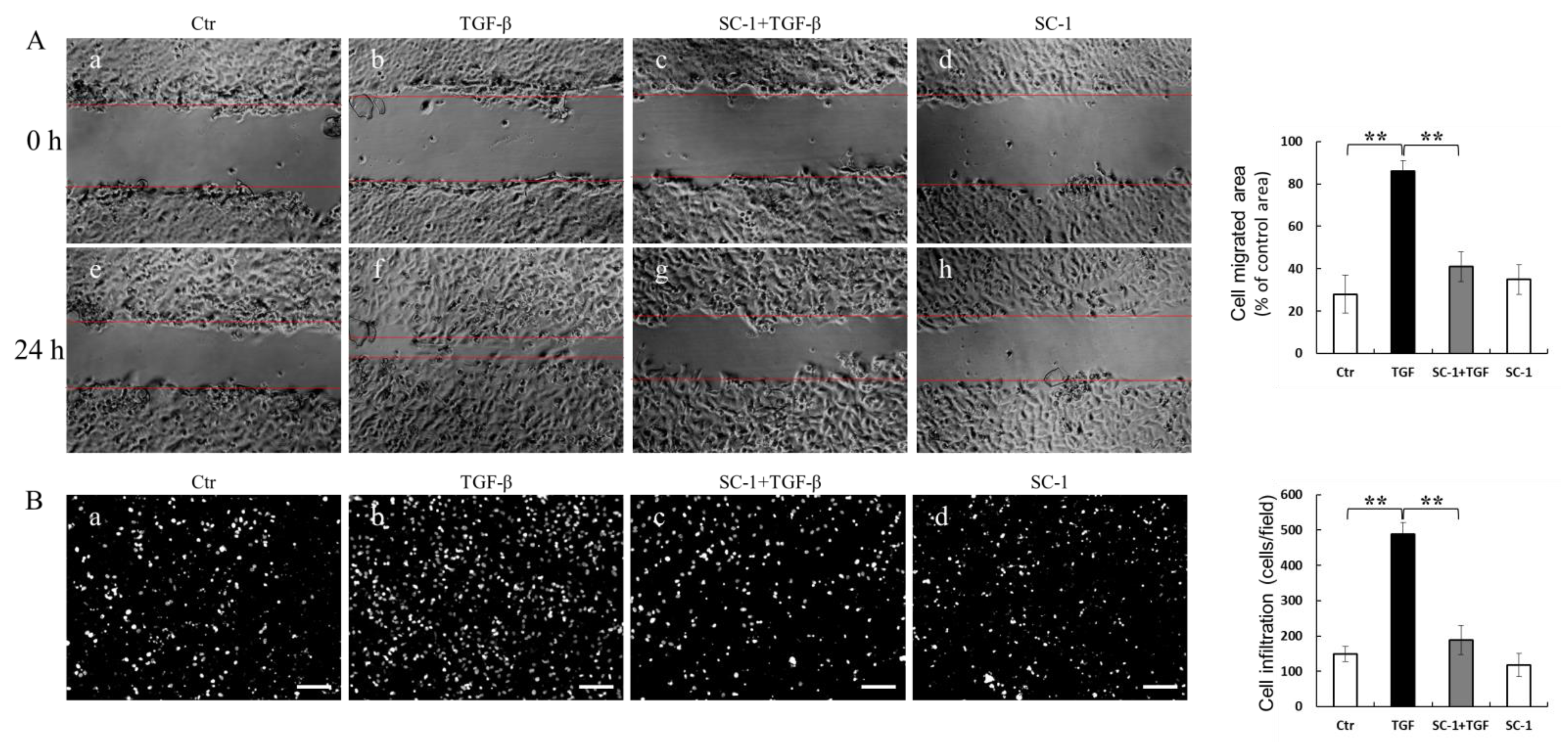 Ijms 24 11656 g005 Ijms 24 11656 g005