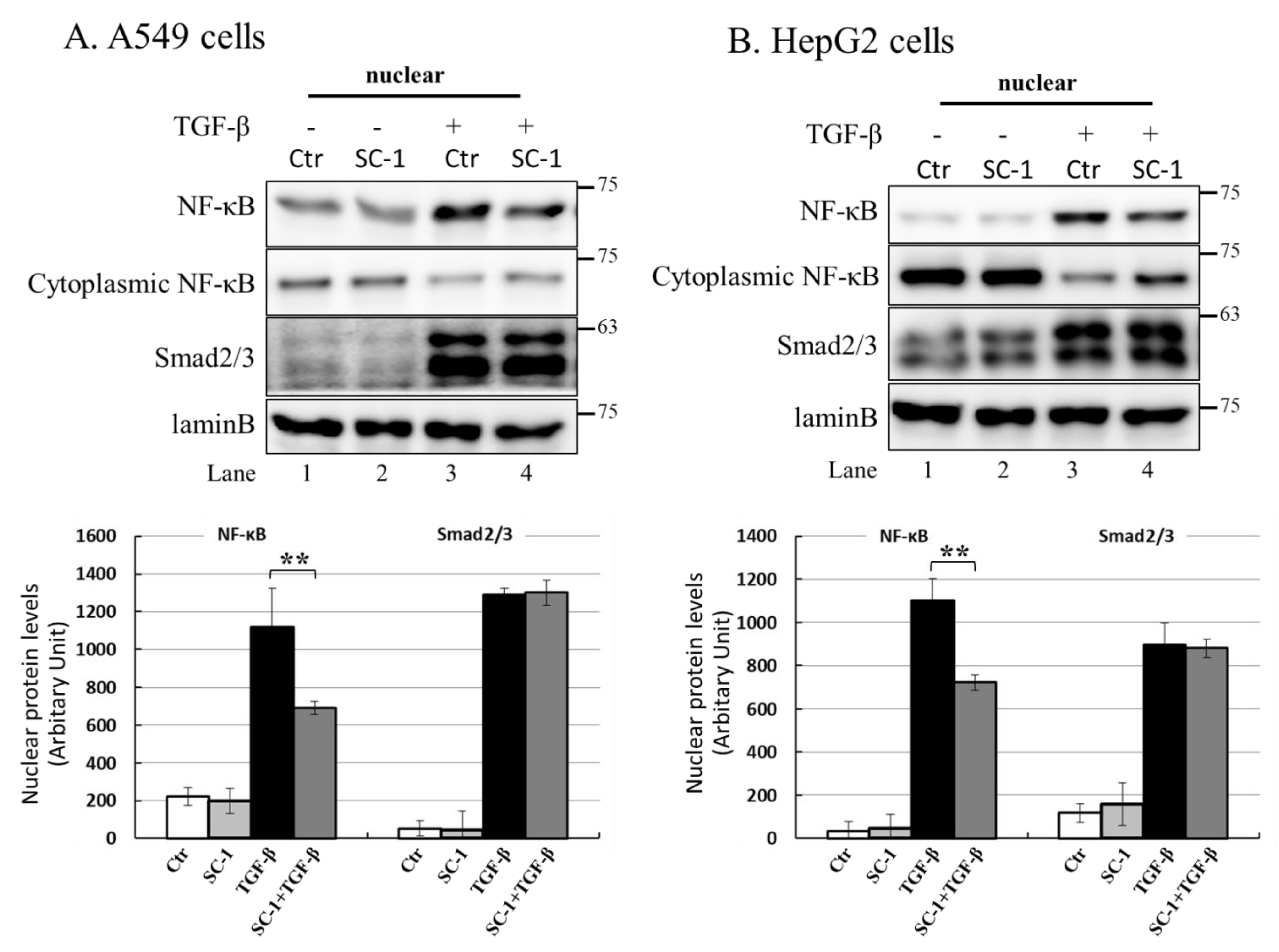 Ijms 24 11656 g007a Ijms 24 11656 g007a