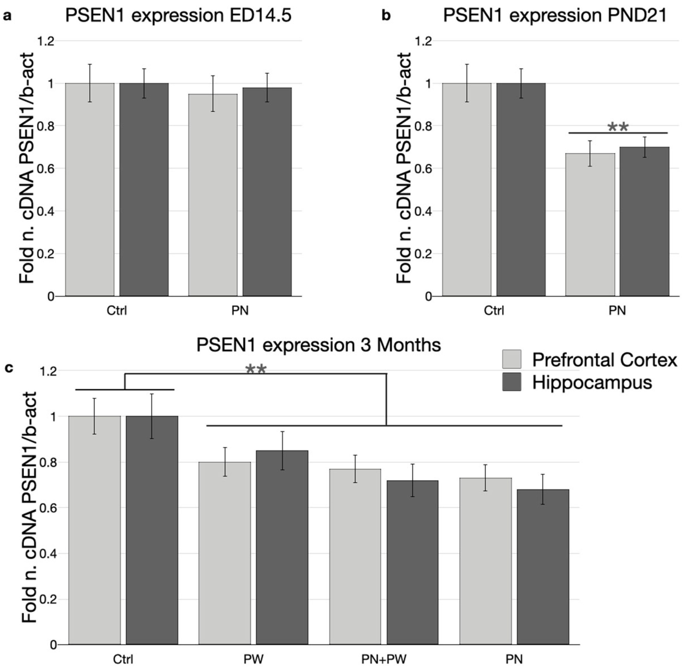 Ijms 24 11675 g006 Ijms 24 11675 g006