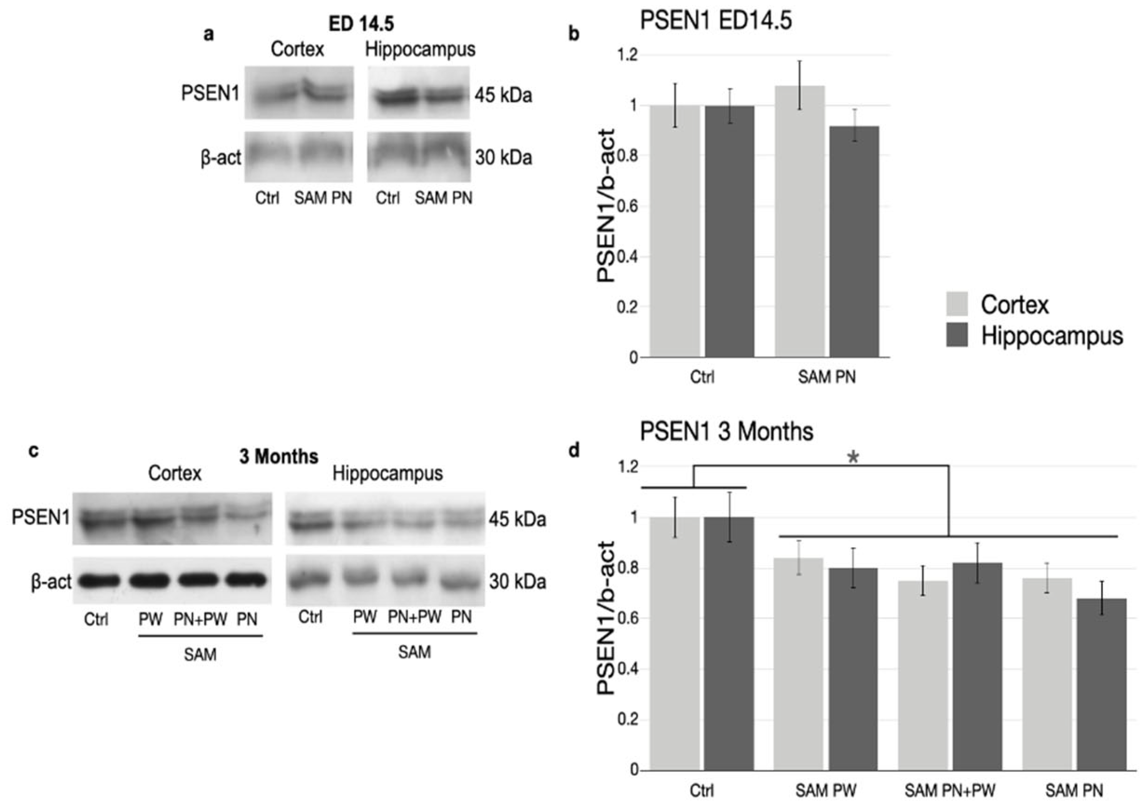 Ijms 24 11675 g007 Ijms 24 11675 g007