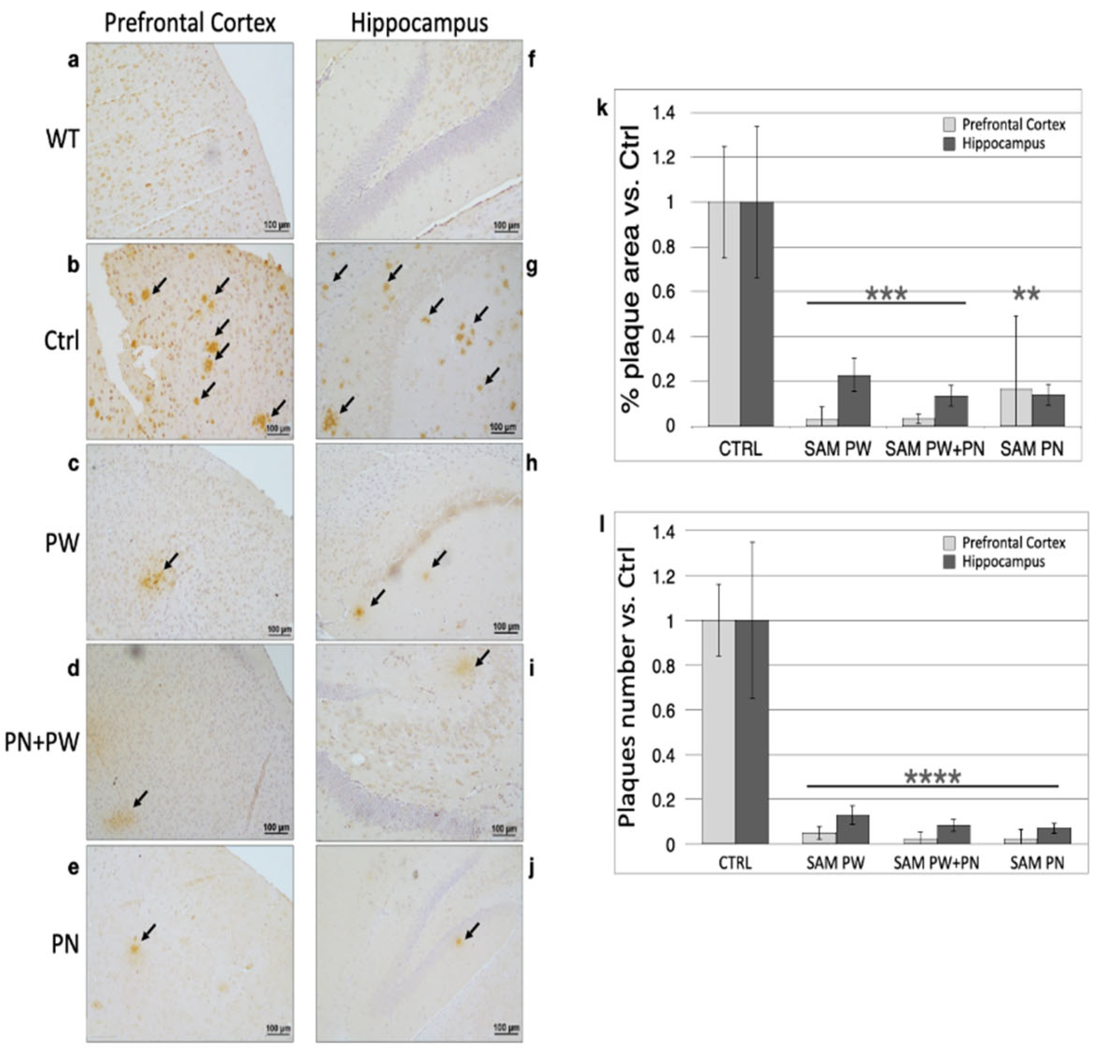 Ijms 24 11675 g008 Ijms 24 11675 g008