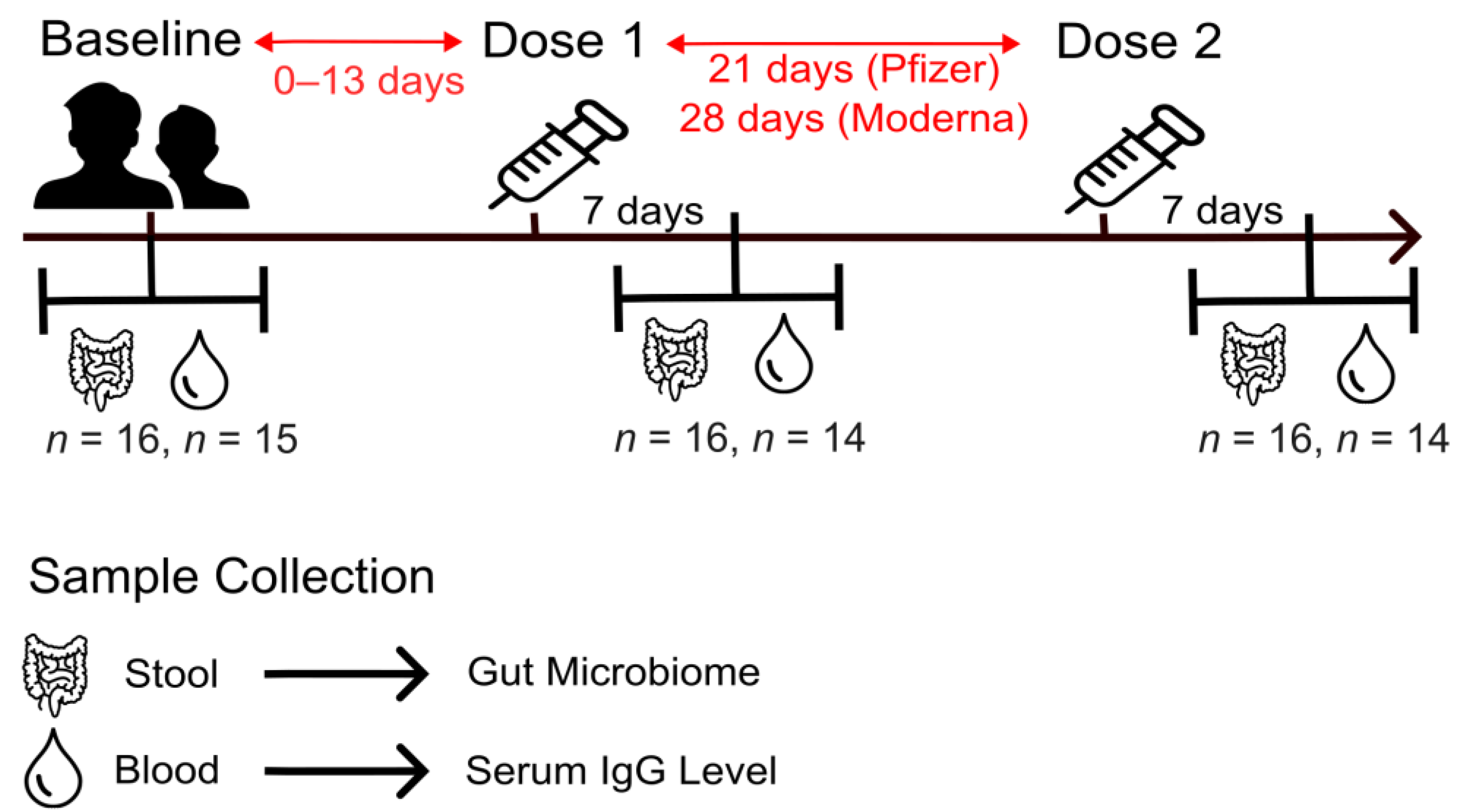 Ijms 24 11703 g001 Ijms 24 11703 g001