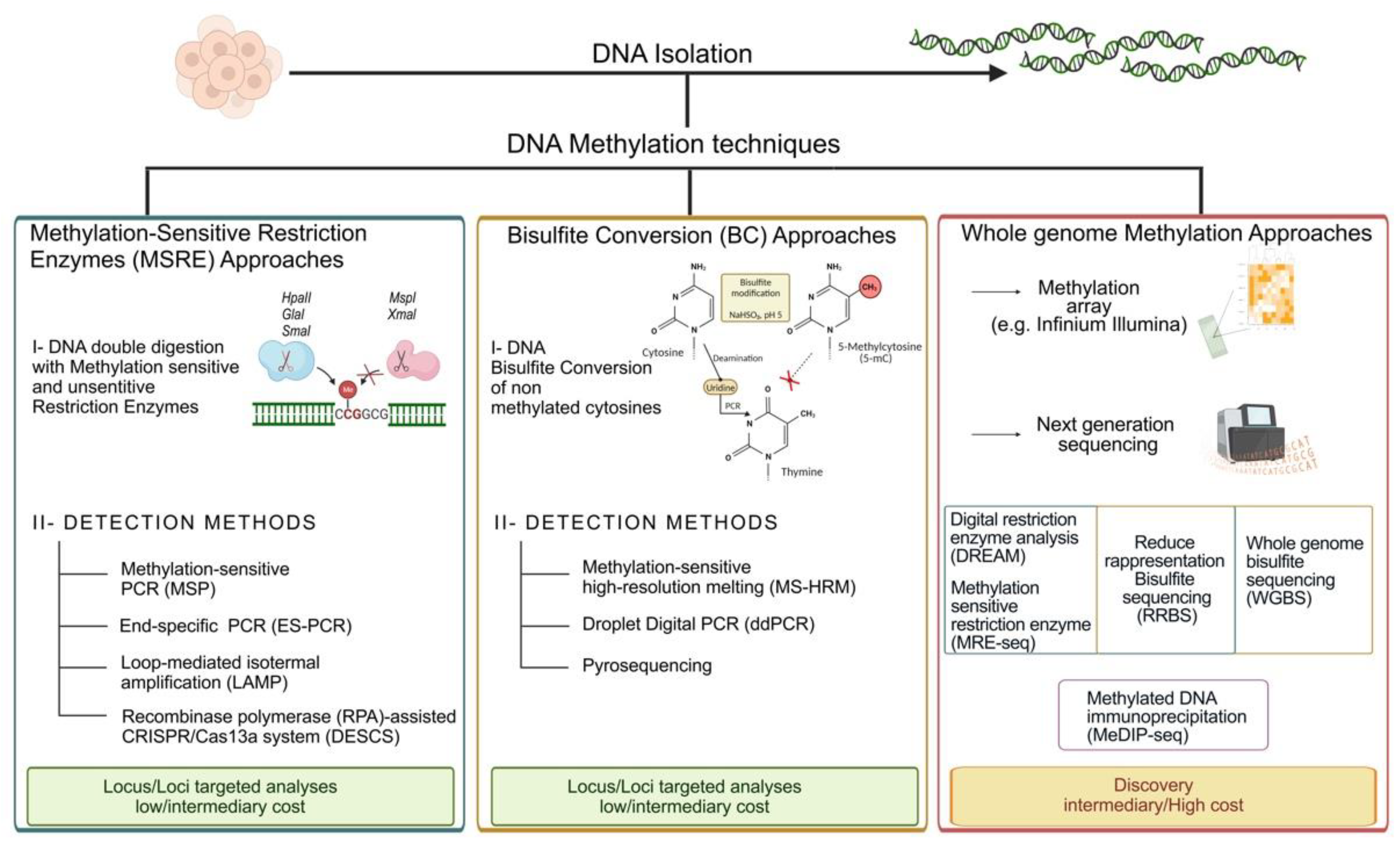Ijms 24 11715 g001 Ijms 24 11715 g001