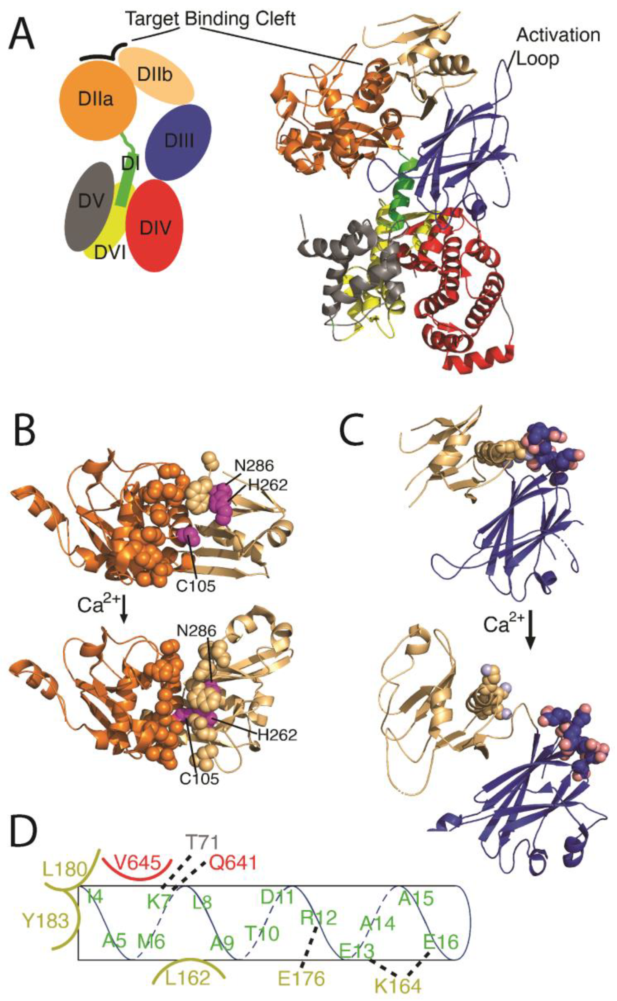 Ijms 24 11726 g002 Ijms 24 11726 g002