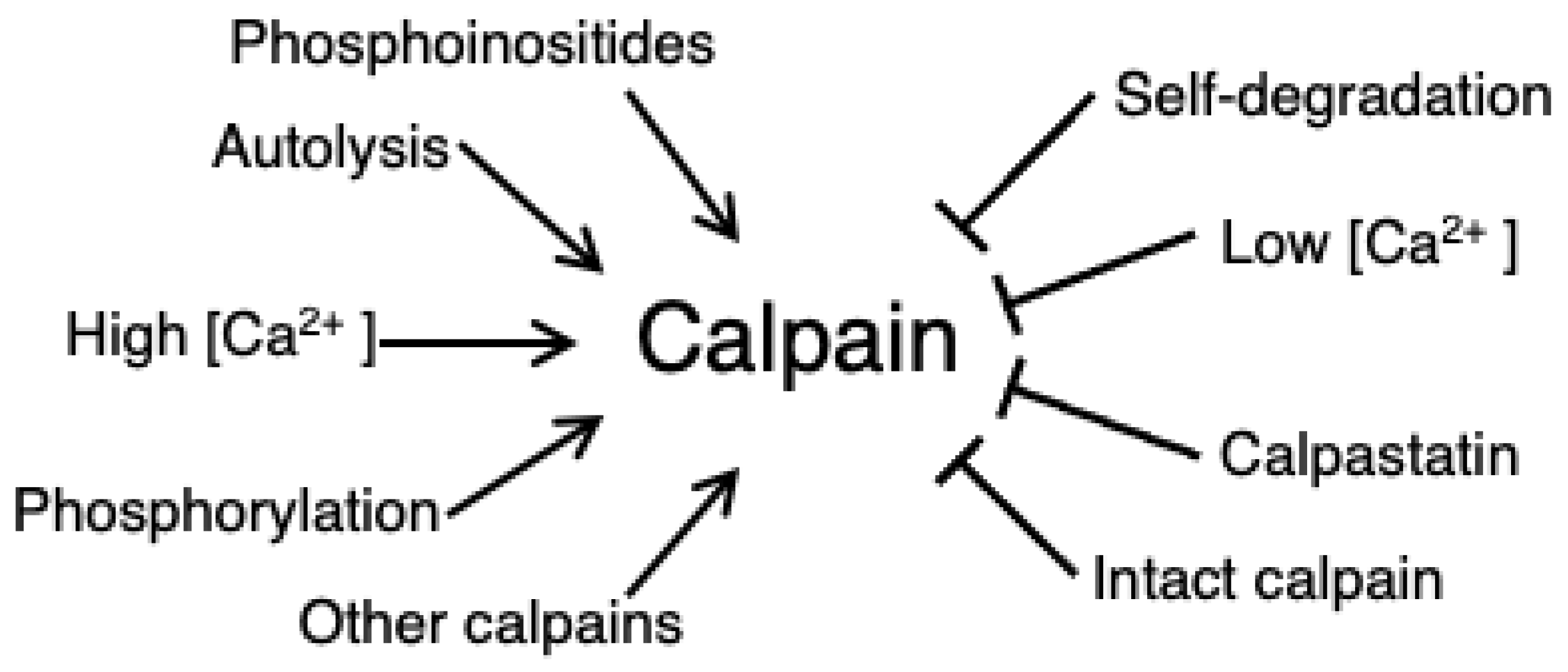 Ijms 24 11726 g003 Ijms 24 11726 g003