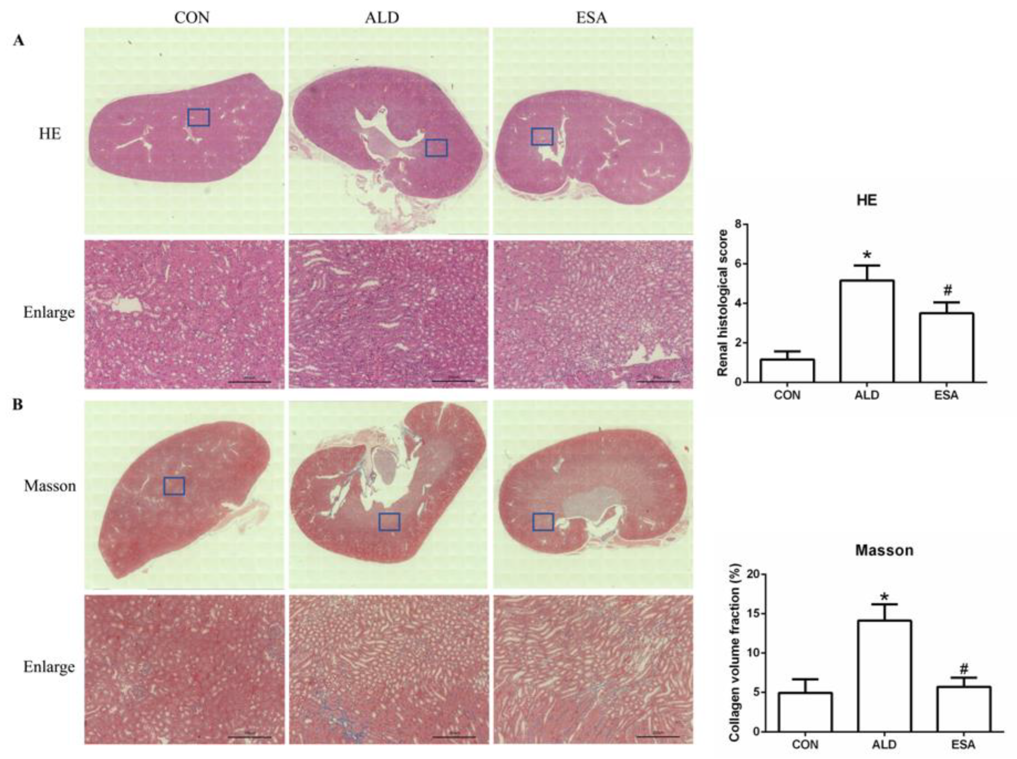 Ijms 24 11766 g001a Ijms 24 11766 g001a