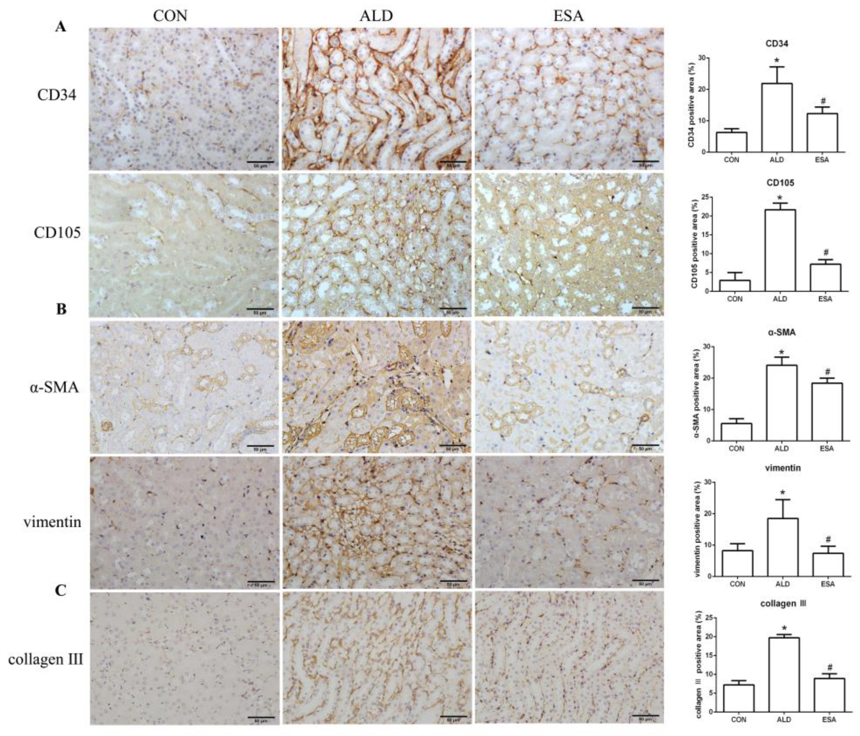 Ijms 24 11766 g002a Ijms 24 11766 g002a