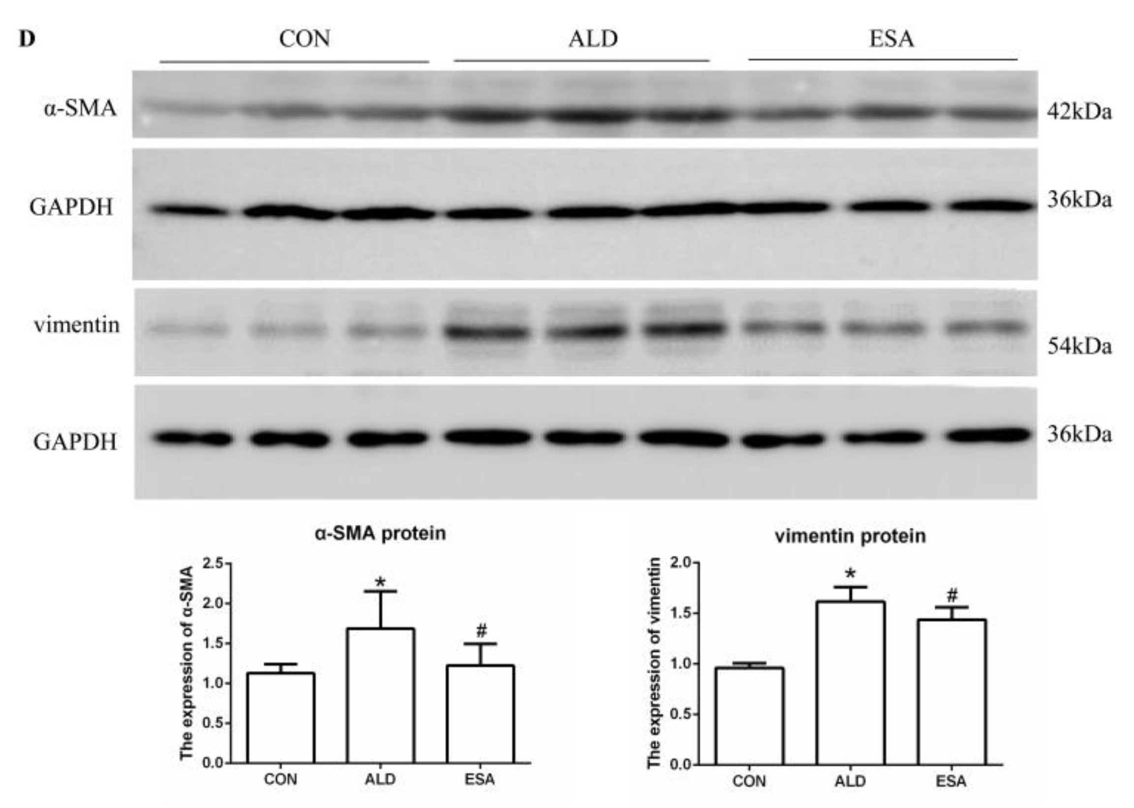 Ijms 24 11766 g002b Ijms 24 11766 g002b