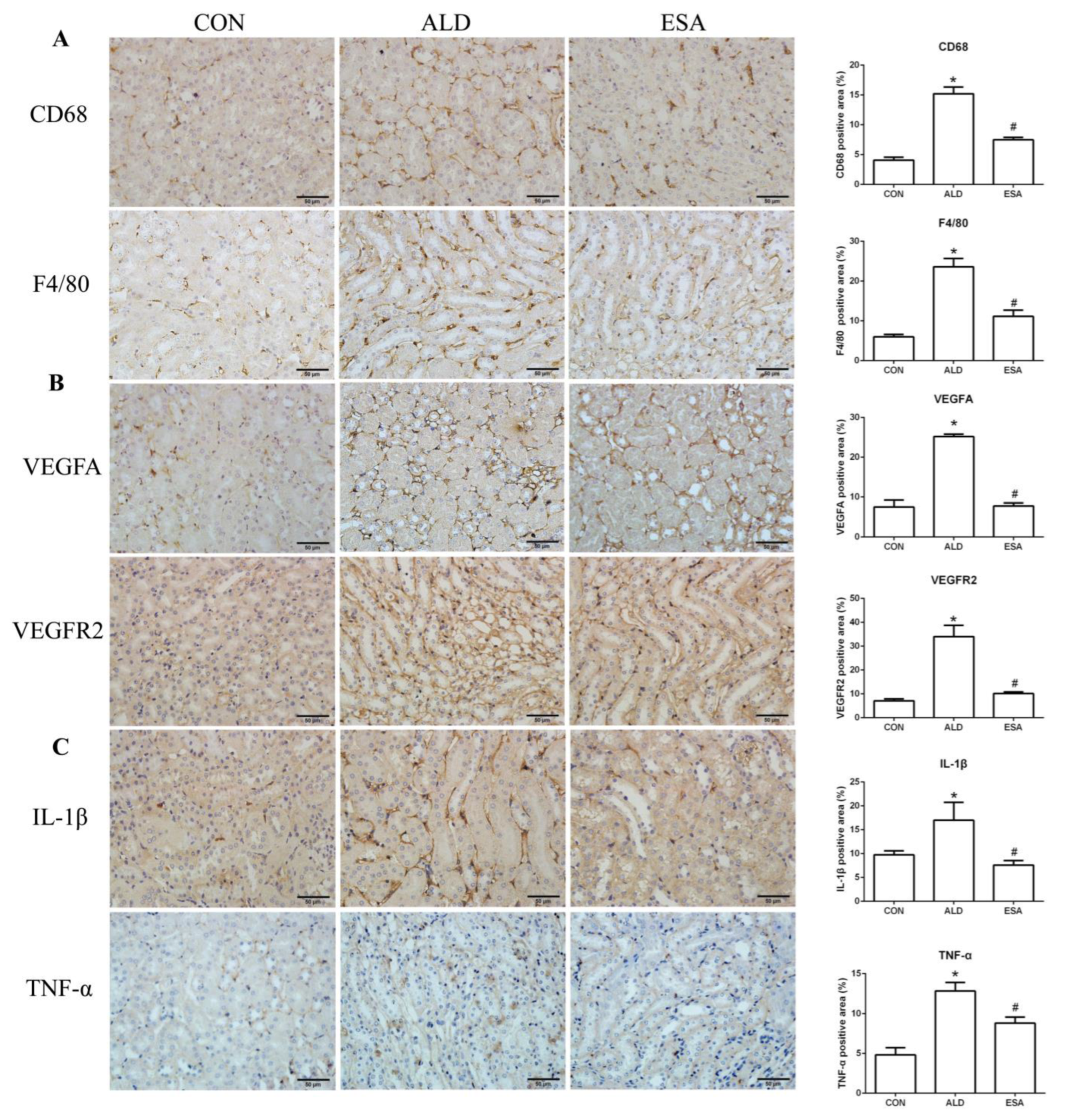 Ijms 24 11766 g003a Ijms 24 11766 g003a