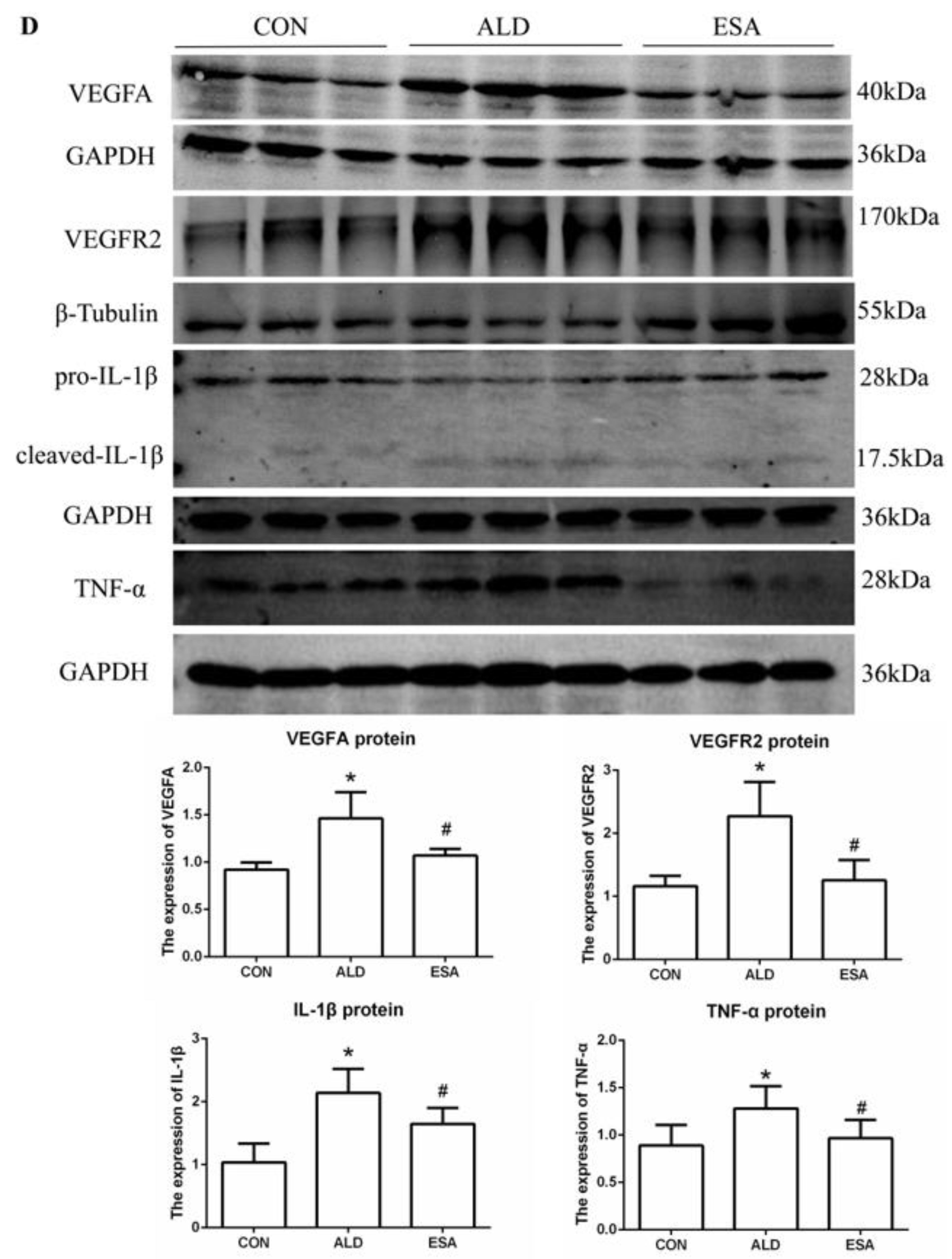 Ijms 24 11766 g003b Ijms 24 11766 g003b