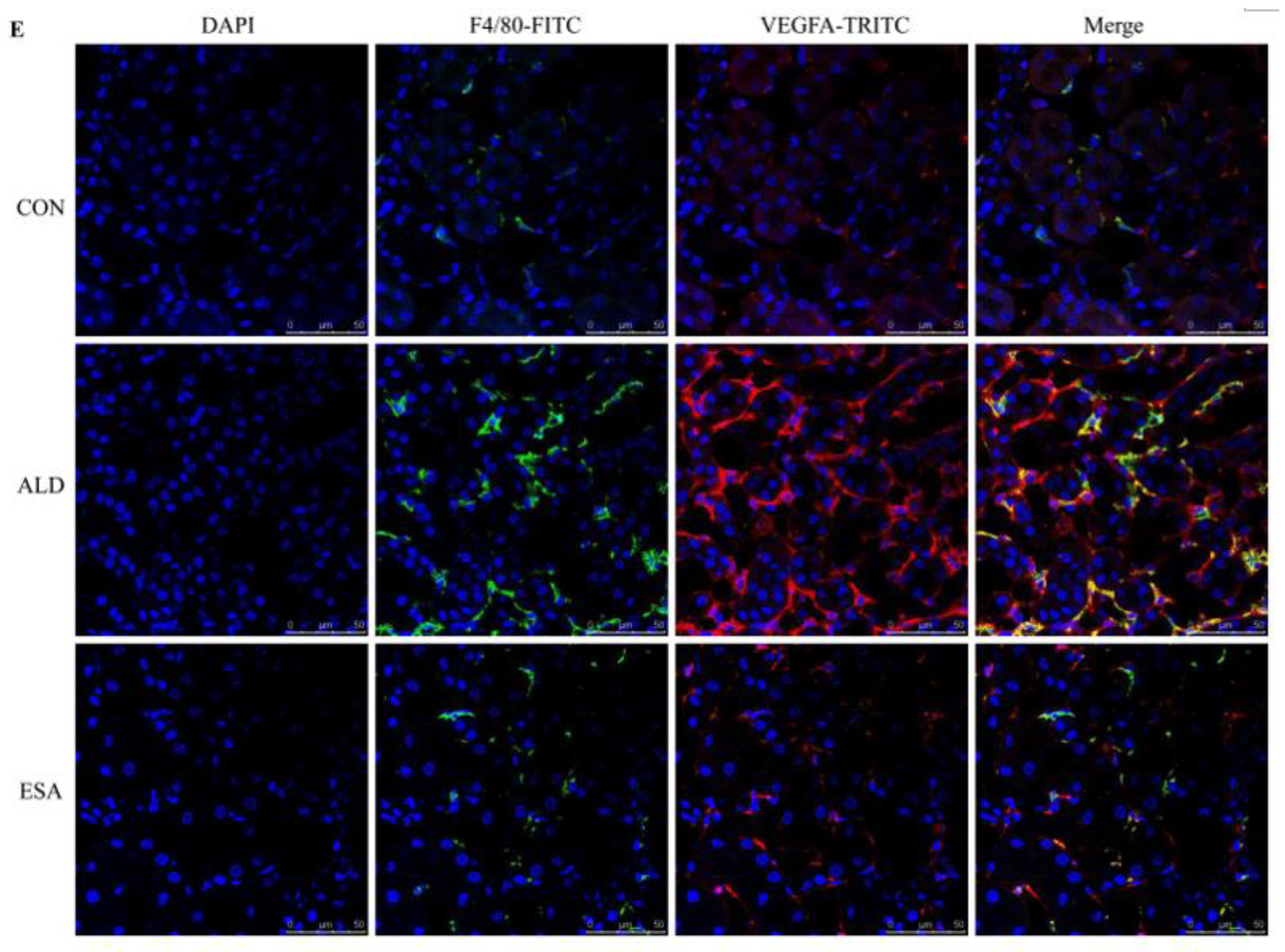 Ijms 24 11766 g003c Ijms 24 11766 g003c