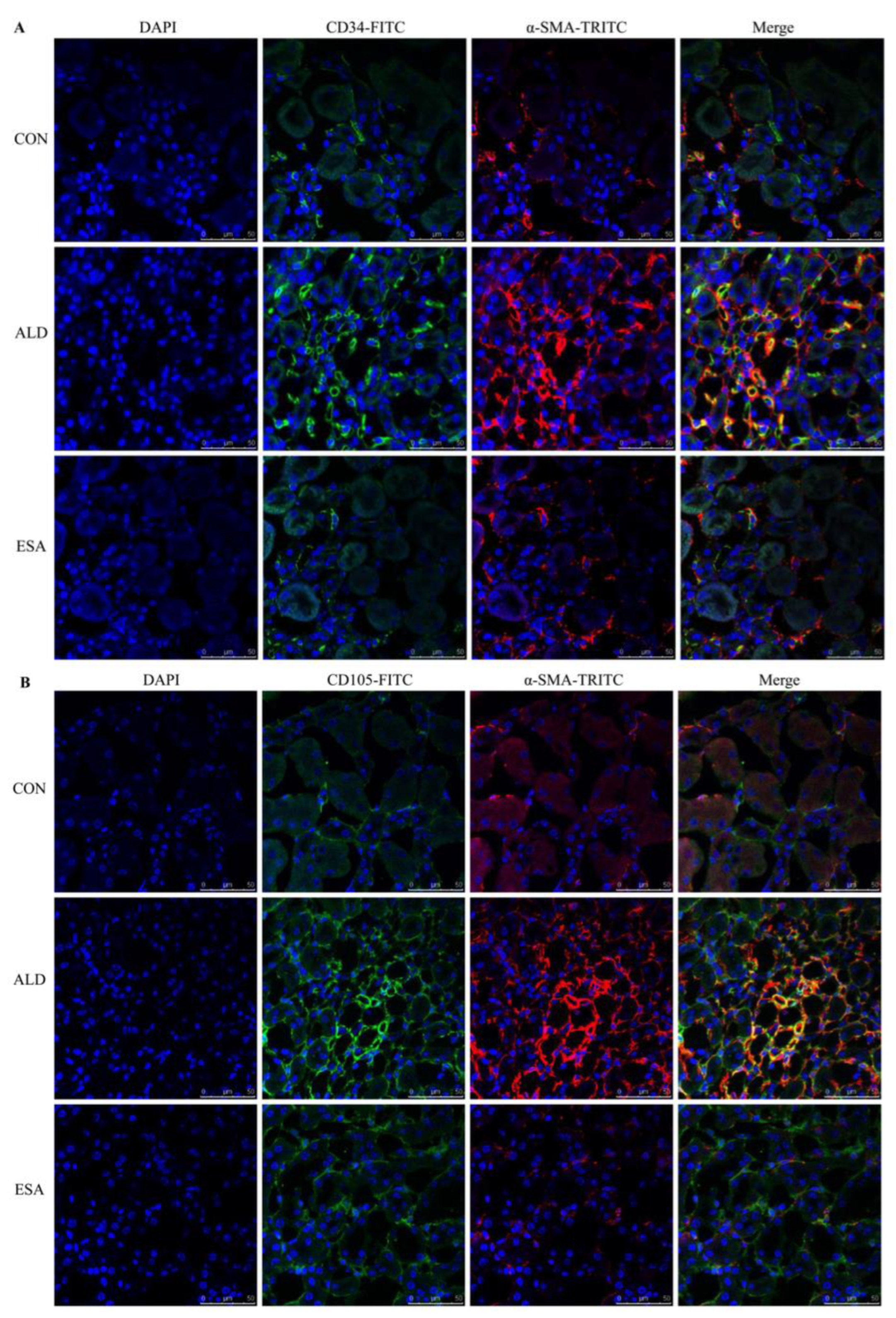 Ijms 24 11766 g004a Ijms 24 11766 g004a