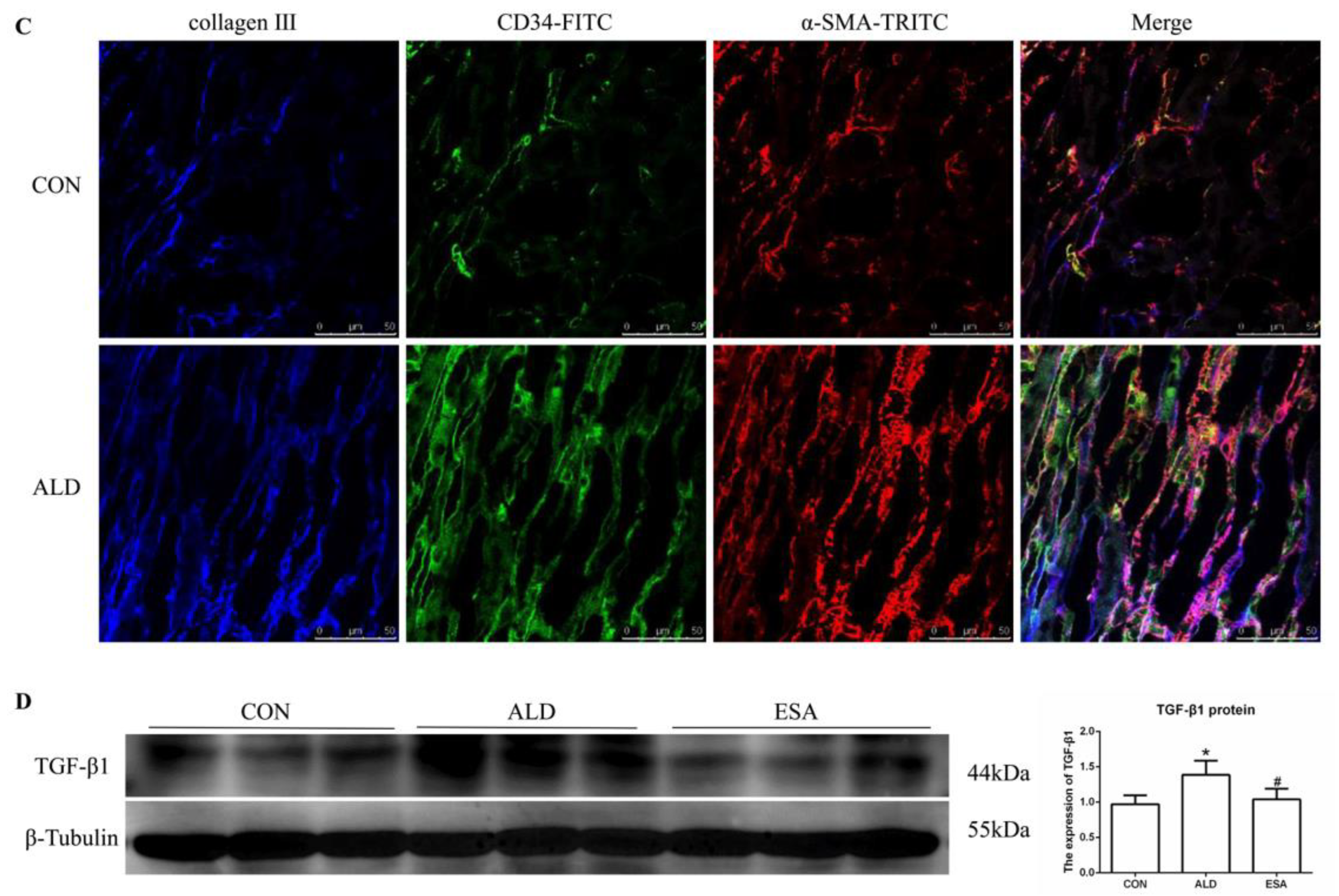 Ijms 24 11766 g004b Ijms 24 11766 g004b