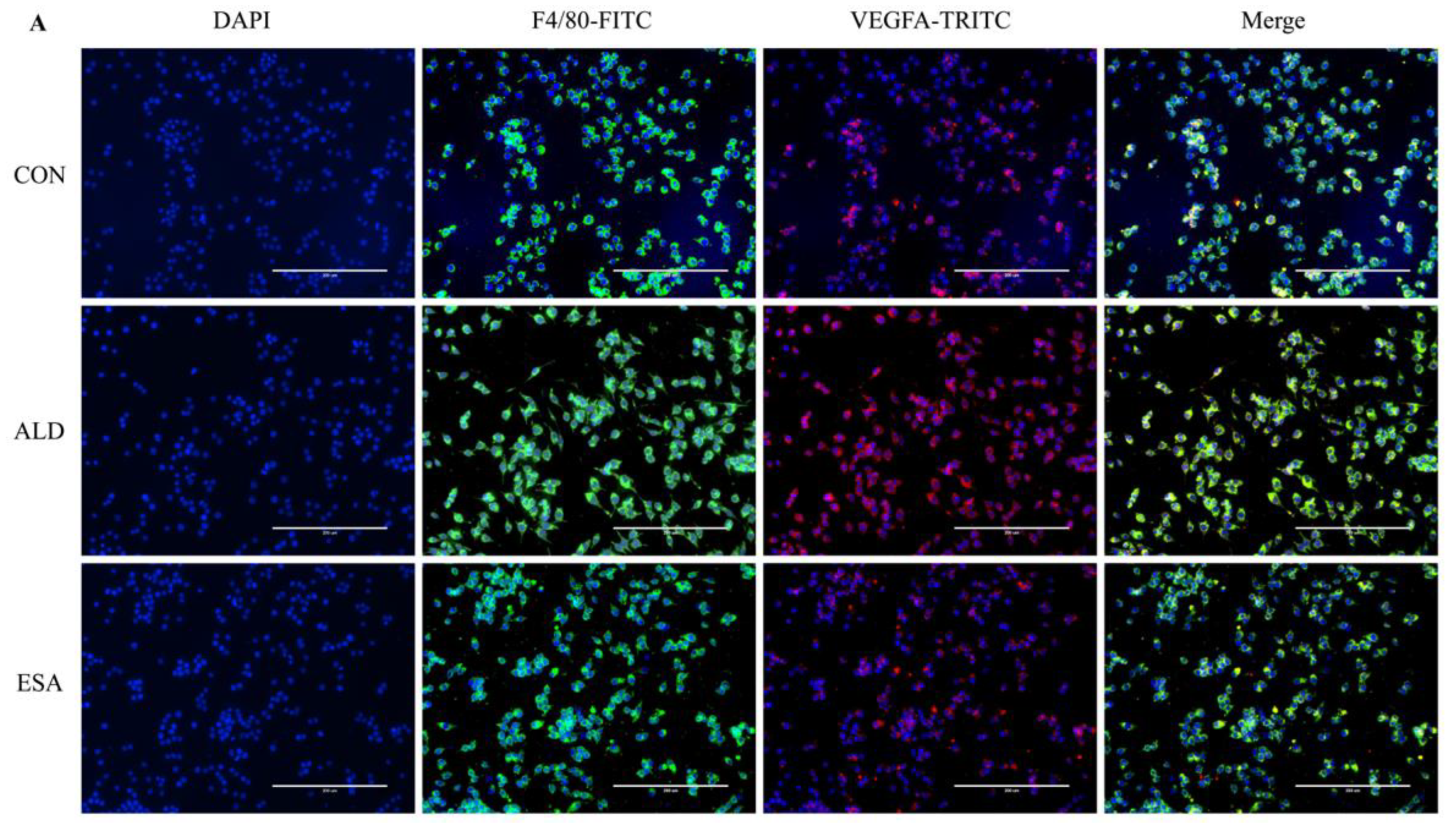 Ijms 24 11766 g005a Ijms 24 11766 g005a