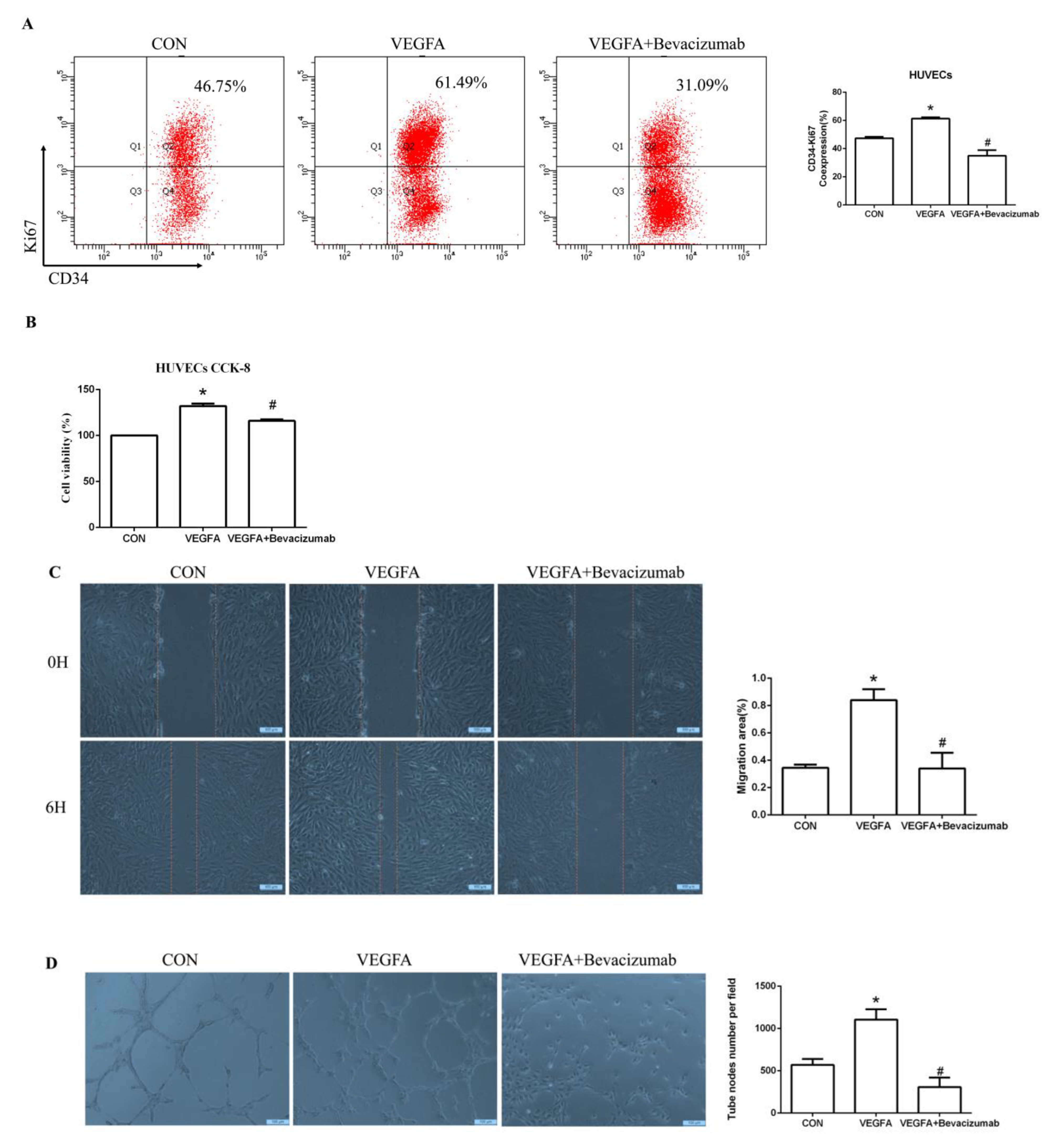 Ijms 24 11766 g006a Ijms 24 11766 g006a