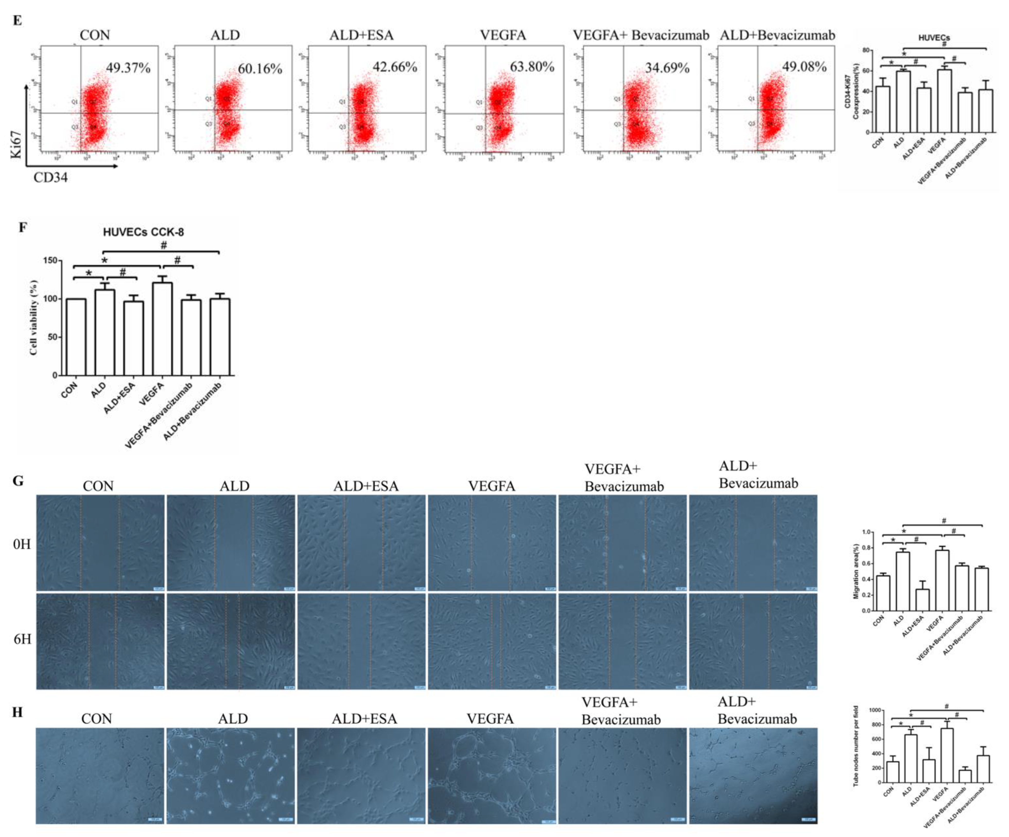 Ijms 24 11766 g006b Ijms 24 11766 g006b