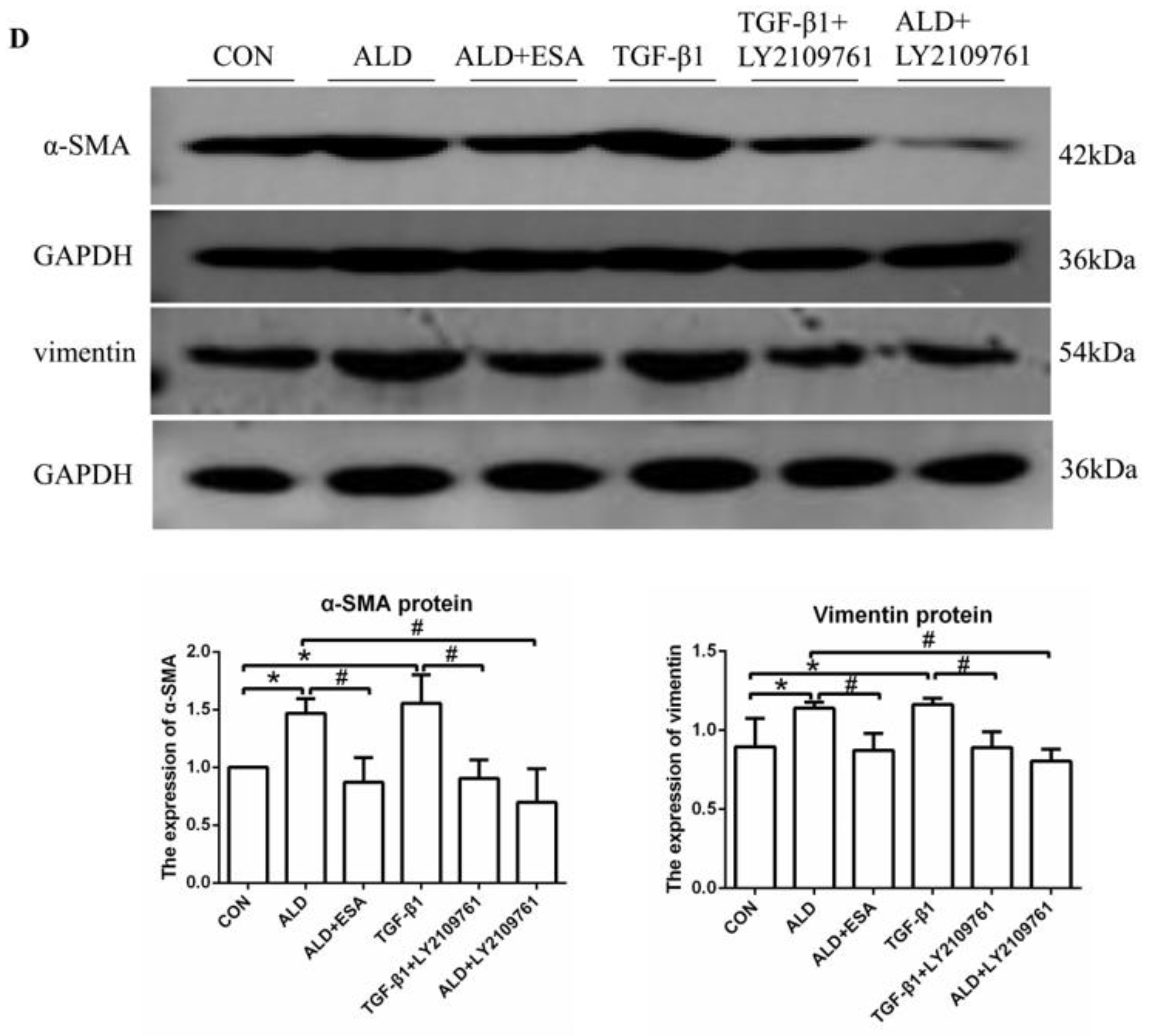 Ijms 24 11766 g007b Ijms 24 11766 g007b