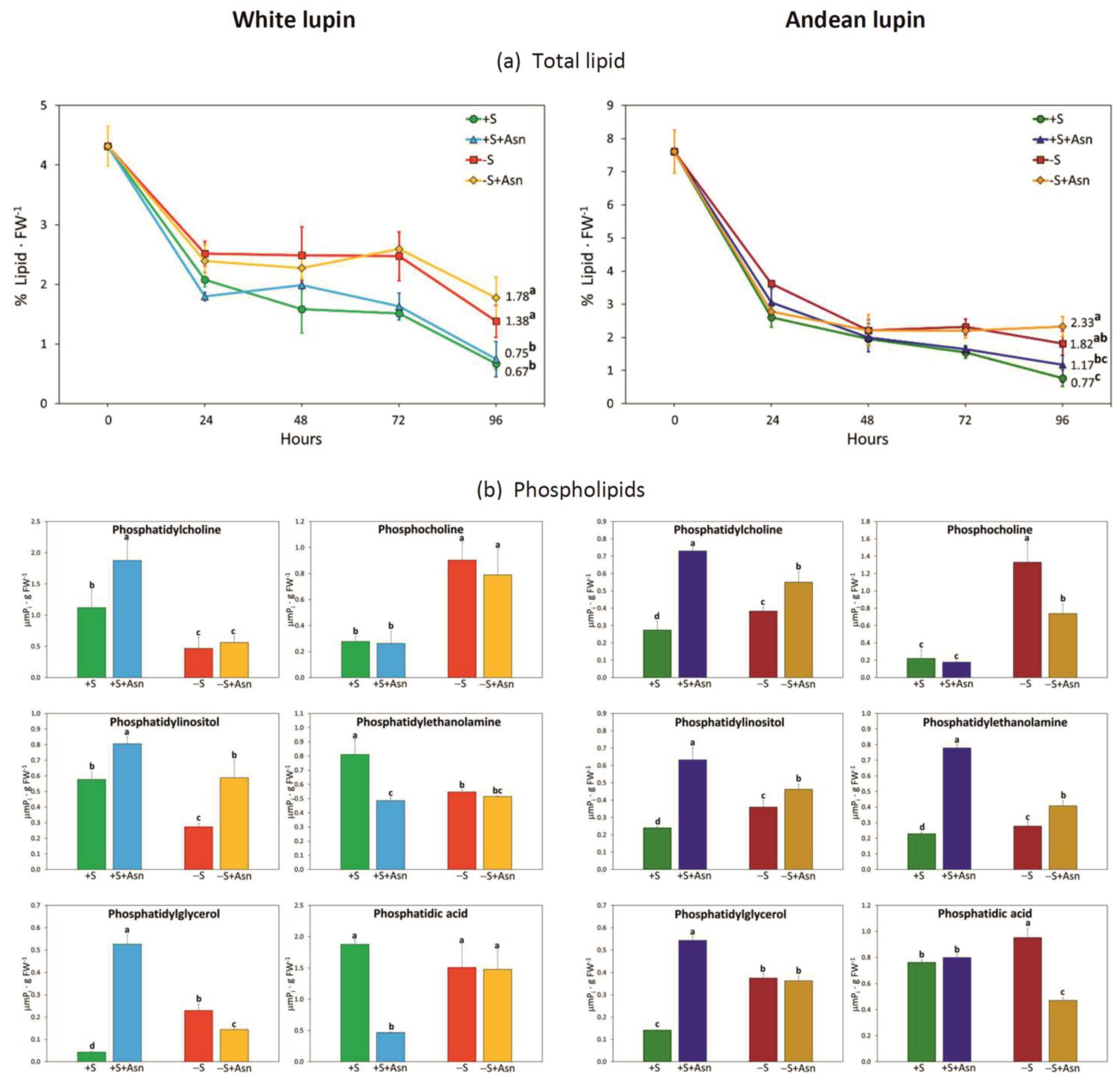 Ijms 24 11773 g003 Ijms 24 11773 g003