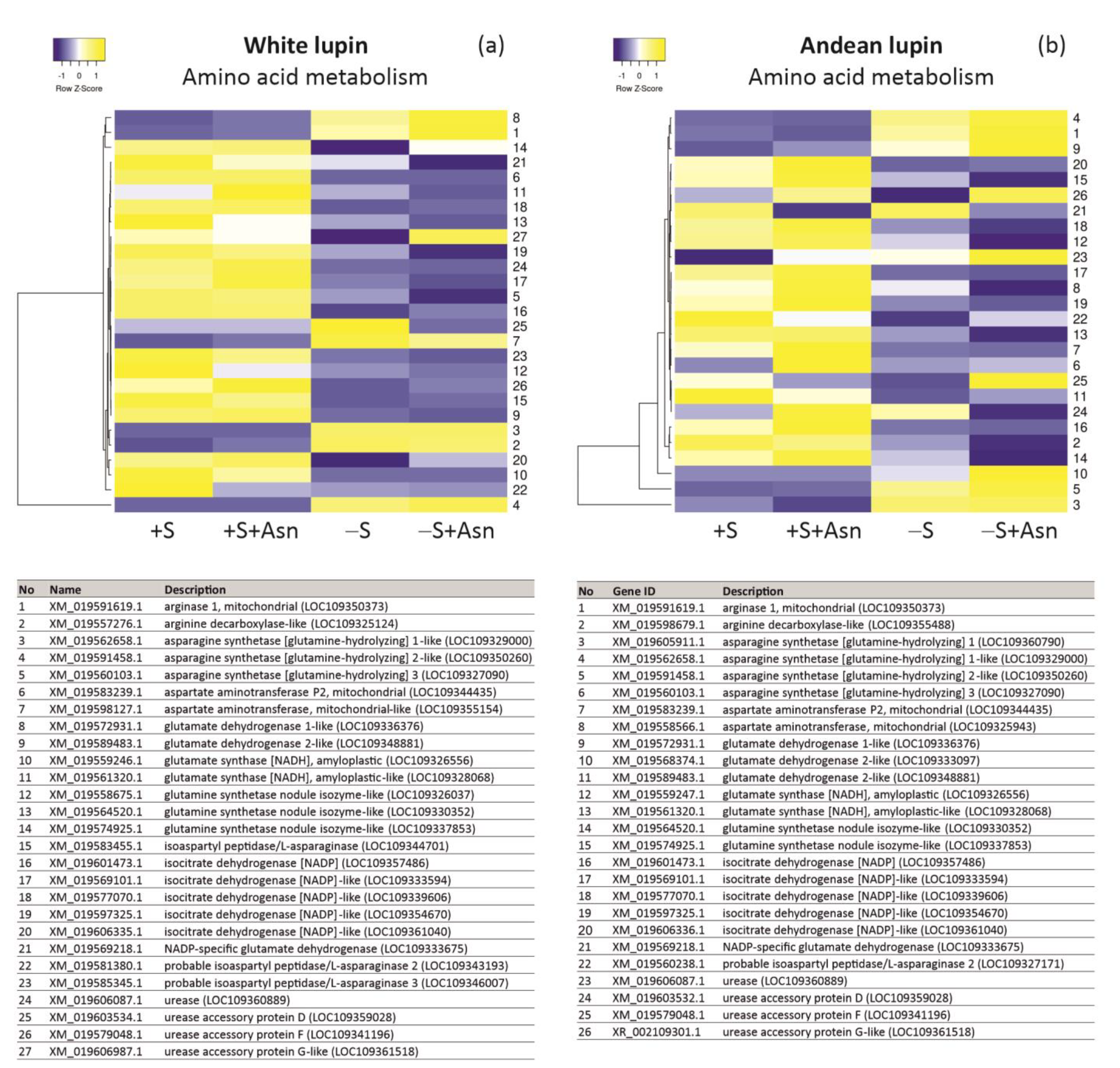 Ijms 24 11773 g005 Ijms 24 11773 g005