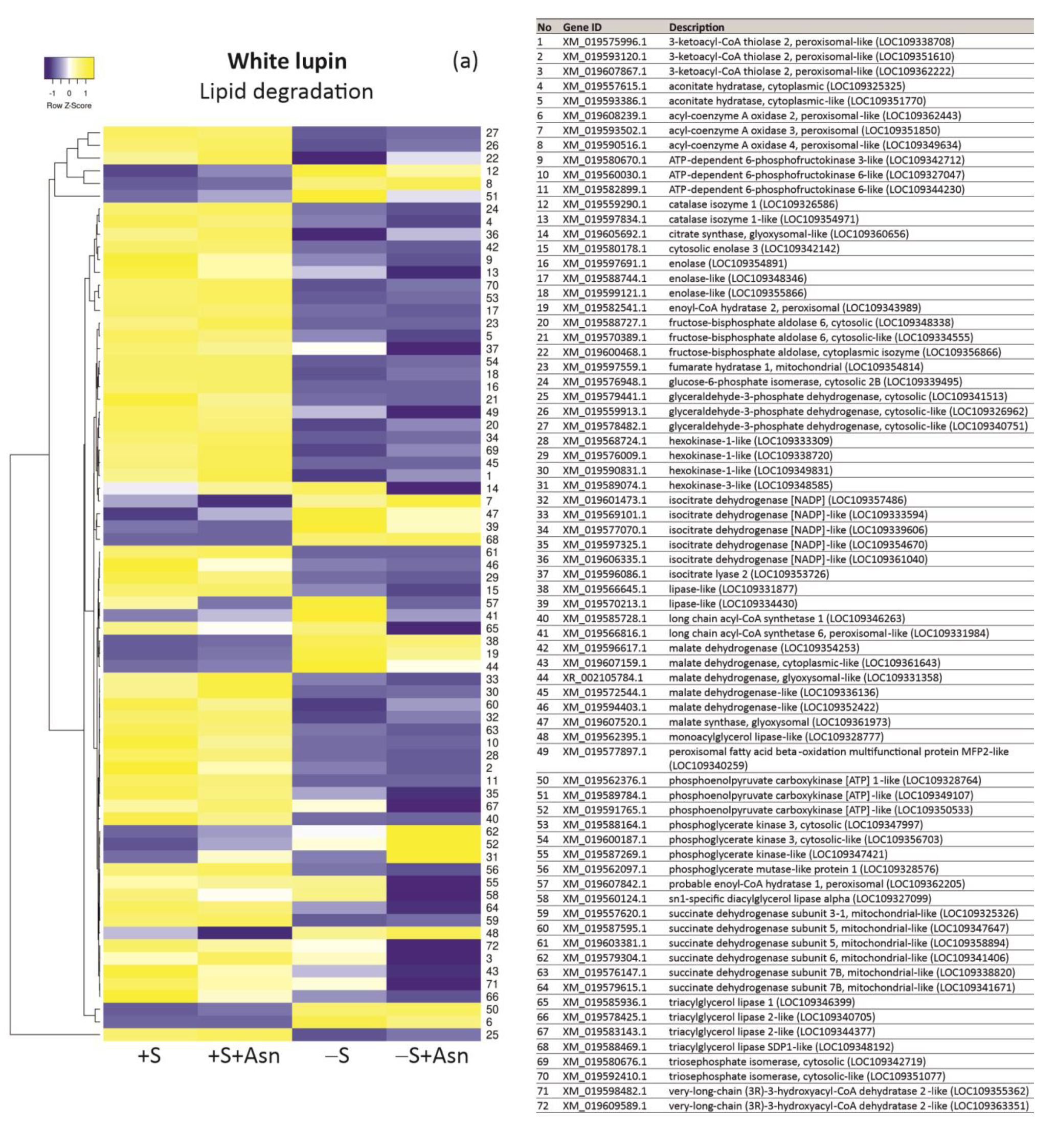Ijms 24 11773 g006a Ijms 24 11773 g006a