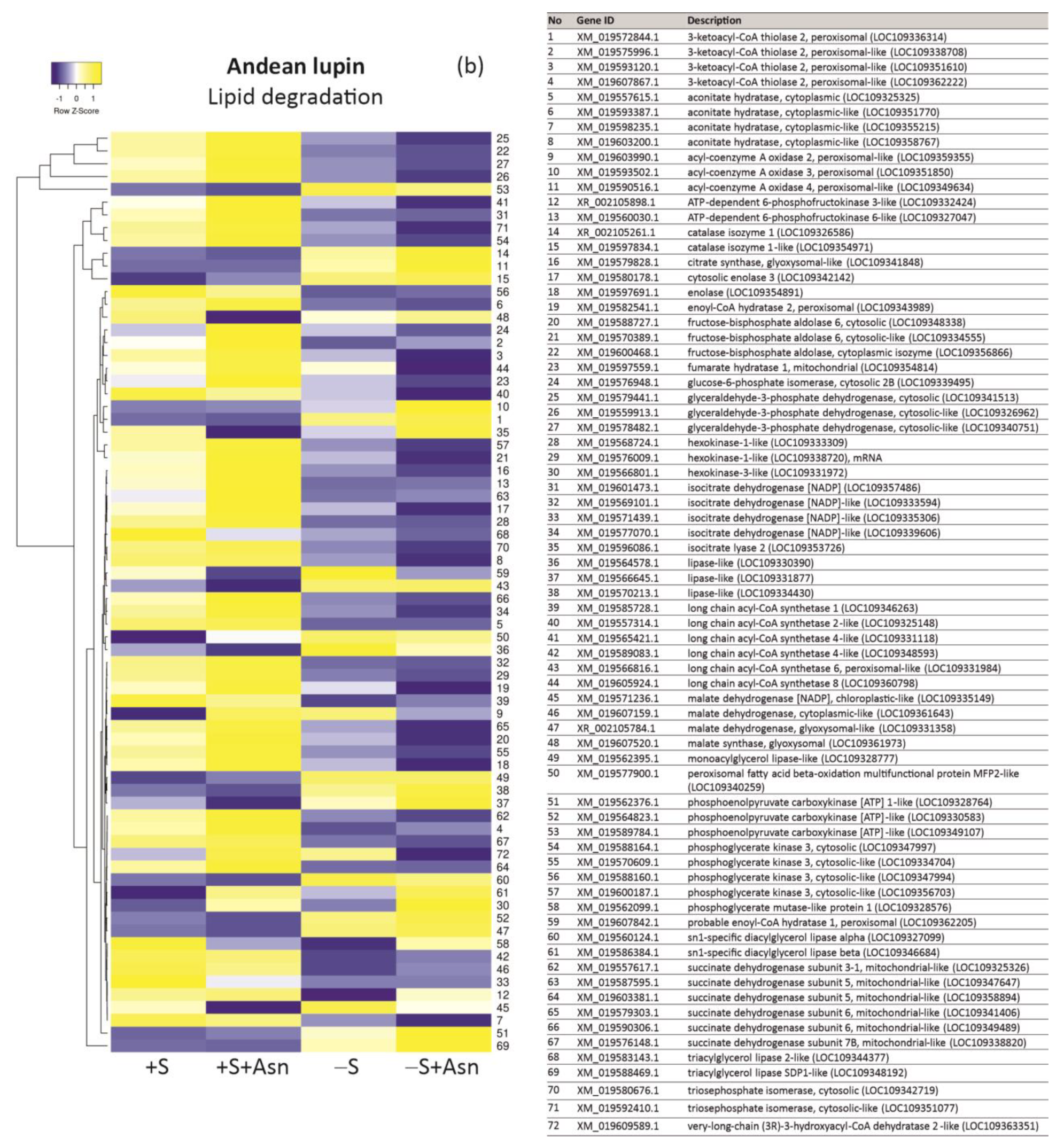 Ijms 24 11773 g006b Ijms 24 11773 g006b