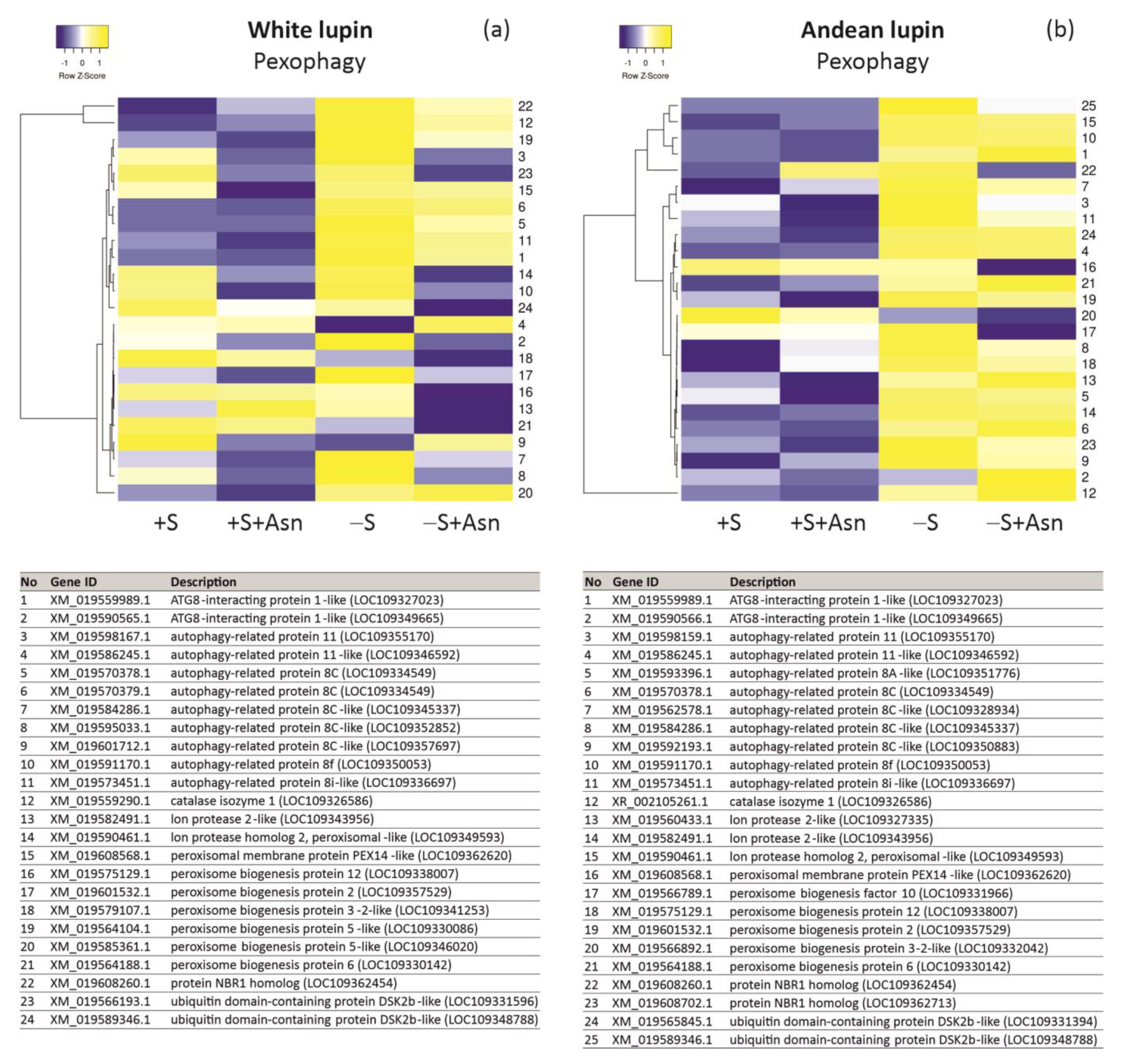 Ijms 24 11773 g007 Ijms 24 11773 g007