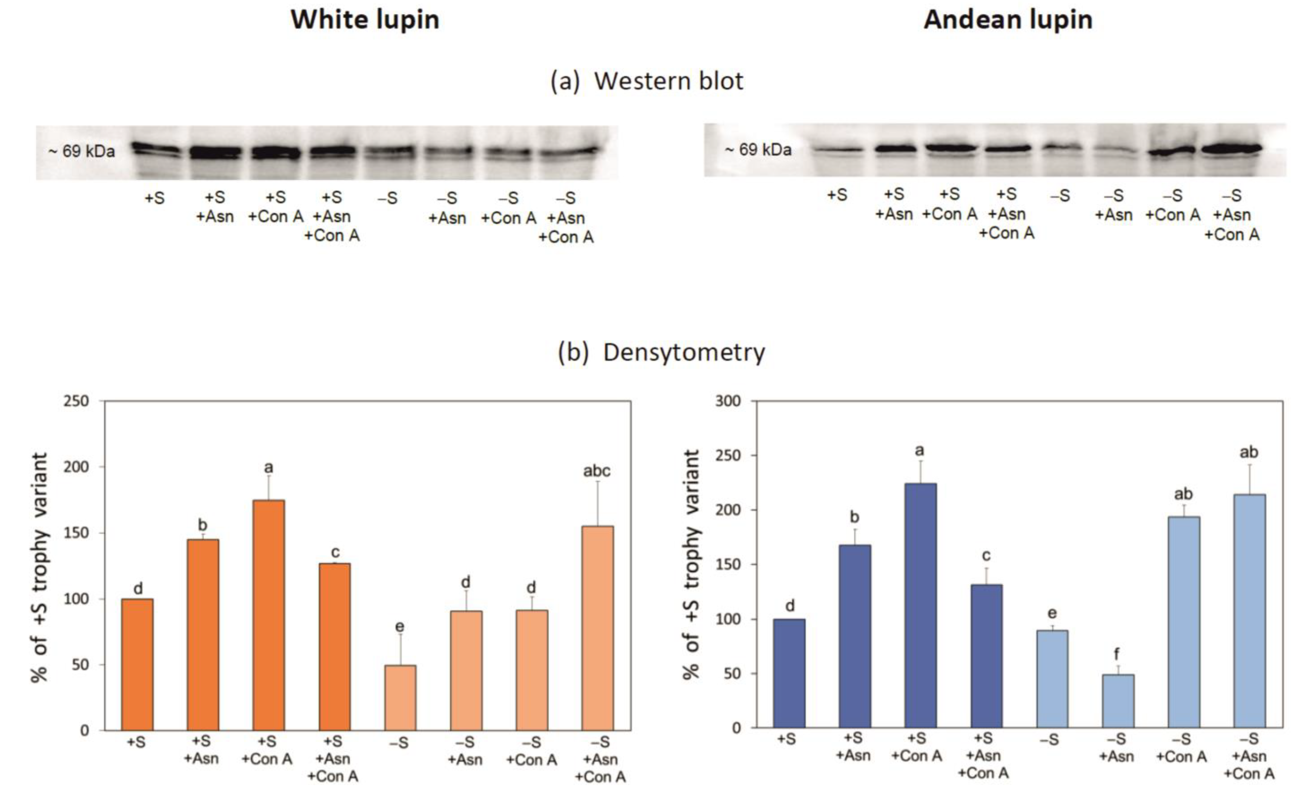 Ijms 24 11773 g009 Ijms 24 11773 g009