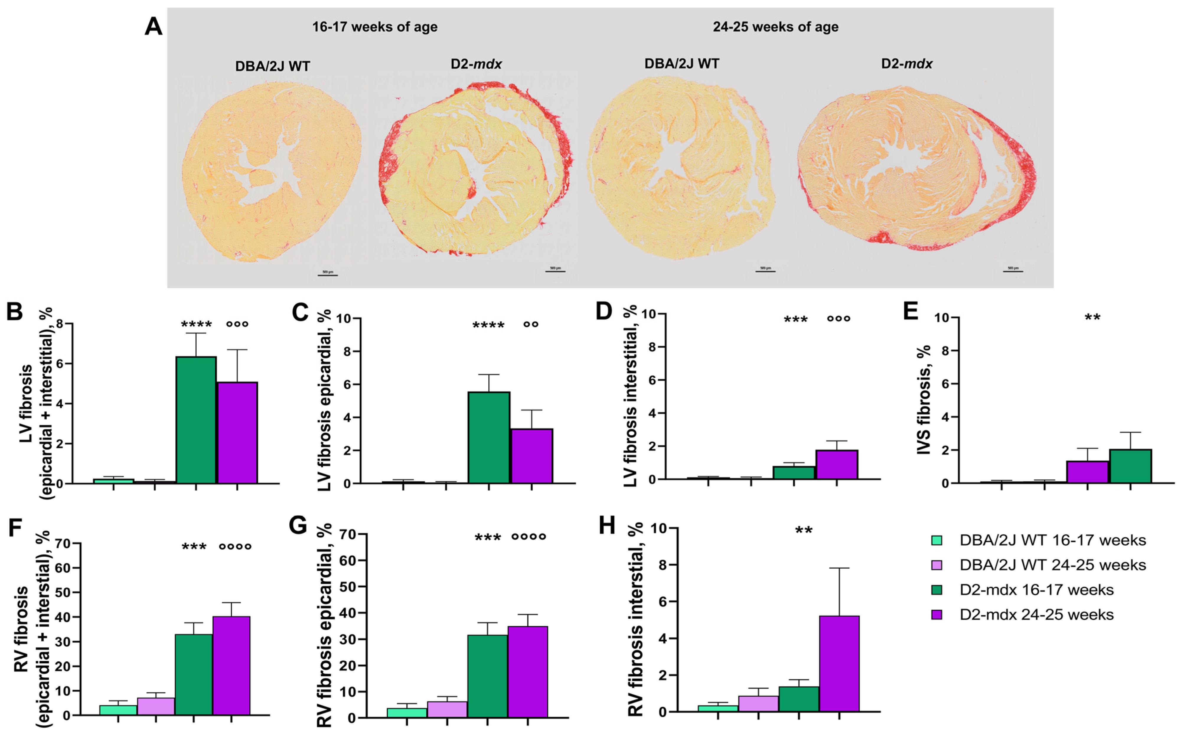 Ijms 24 11805 g007 Ijms 24 11805 g007