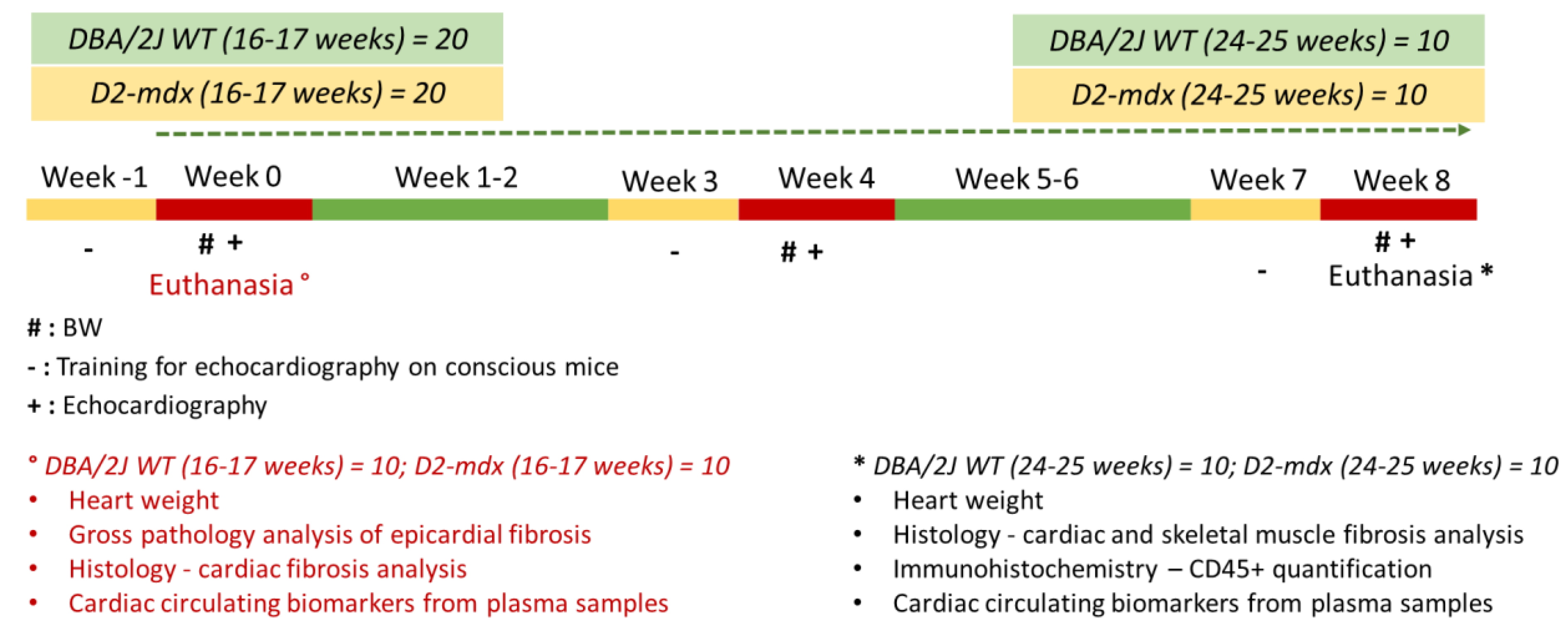 Ijms 24 11805 g010 Ijms 24 11805 g010