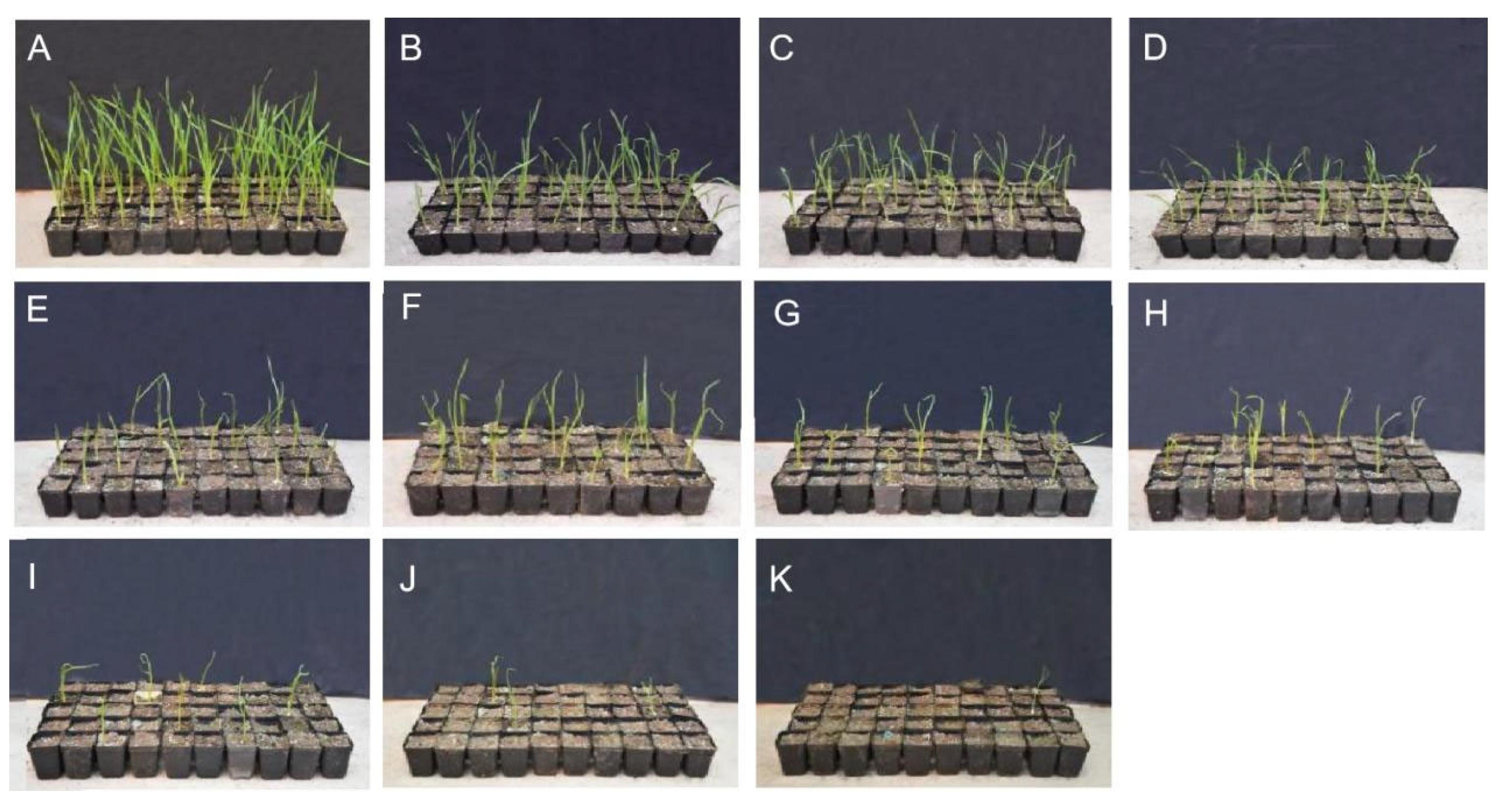 Ijms 24 11819 g001 Ijms 24 11819 g001