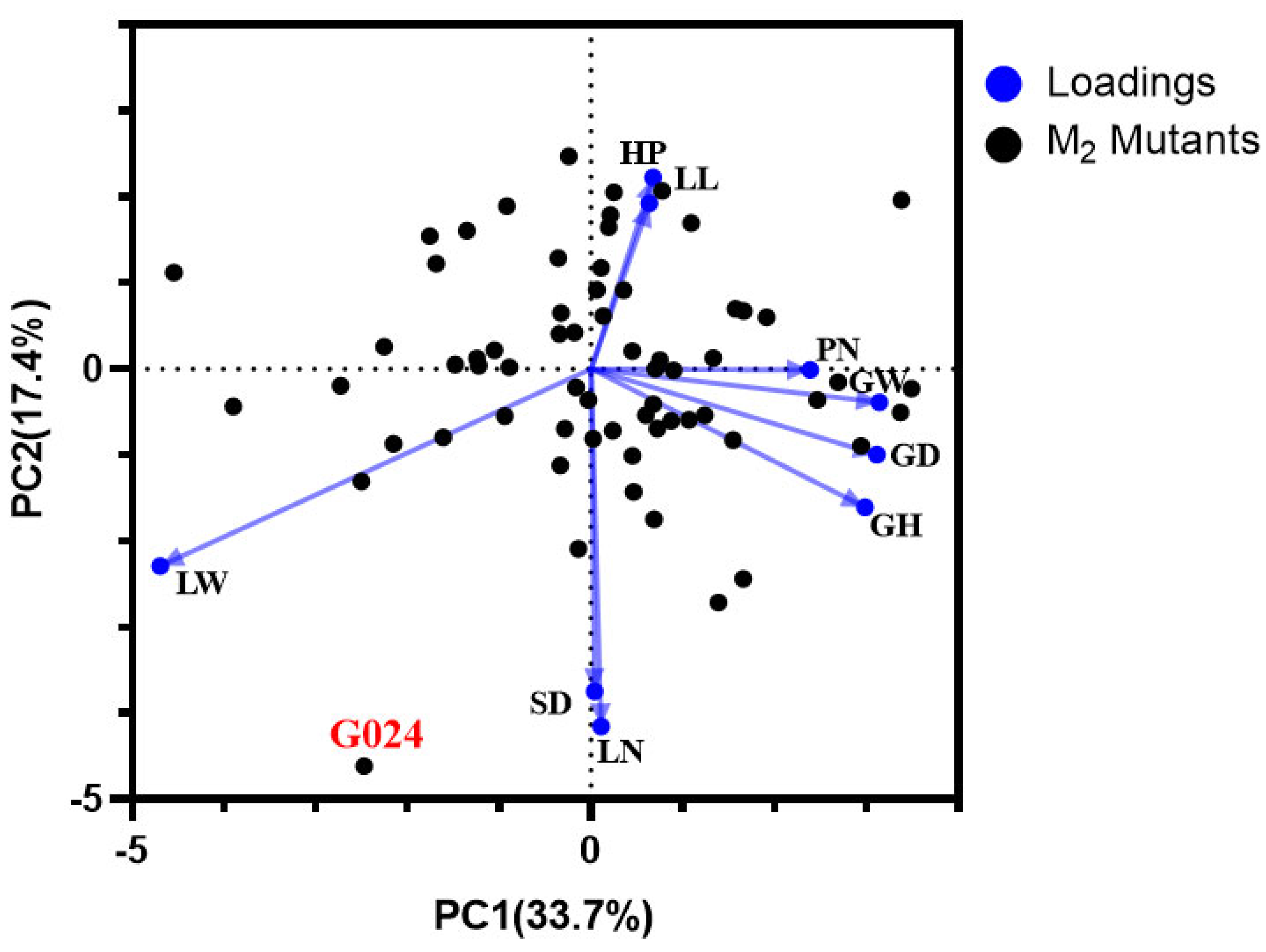 Ijms 24 11819 g003 Ijms 24 11819 g003