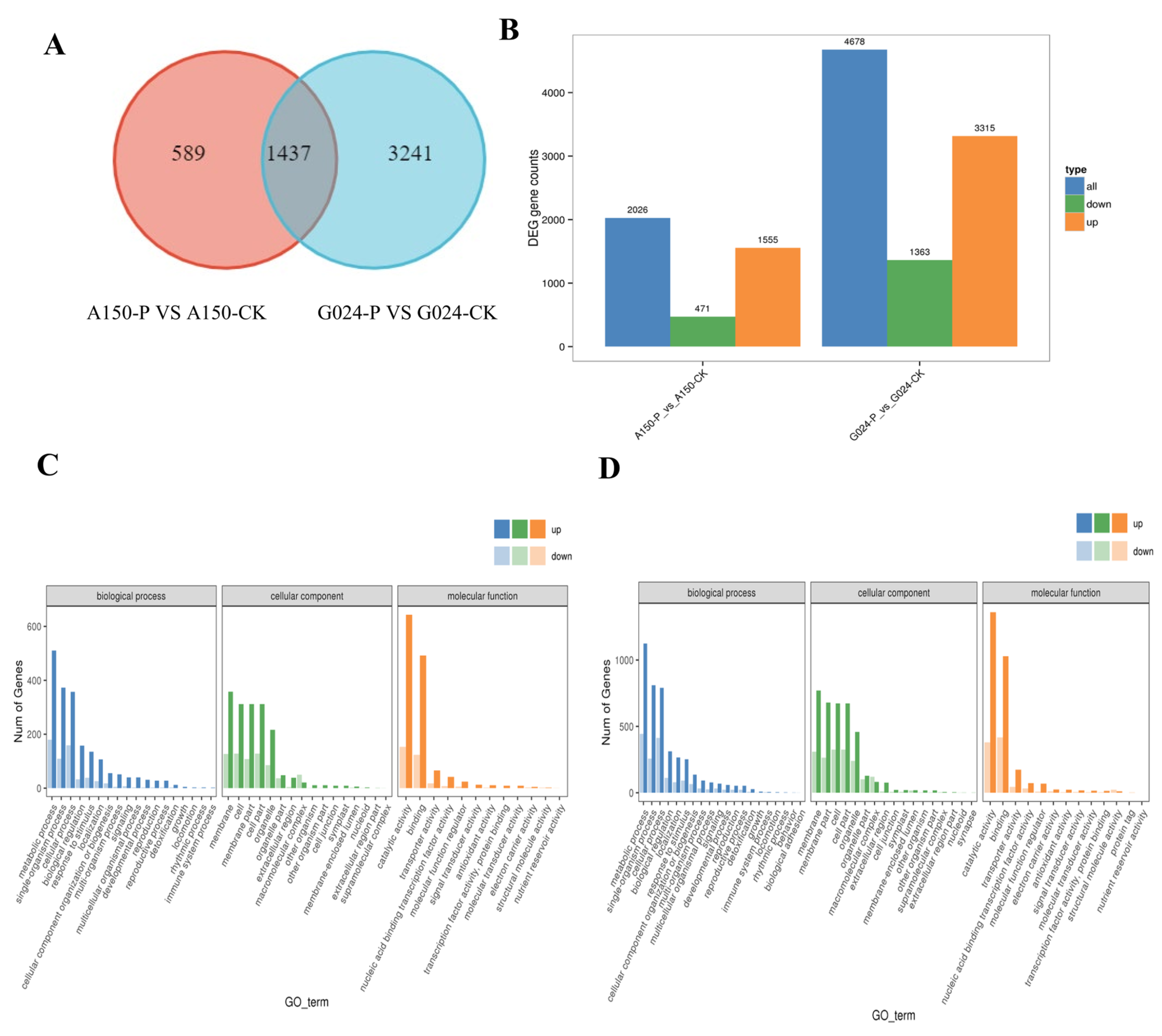 Ijms 24 11819 g008 Ijms 24 11819 g008