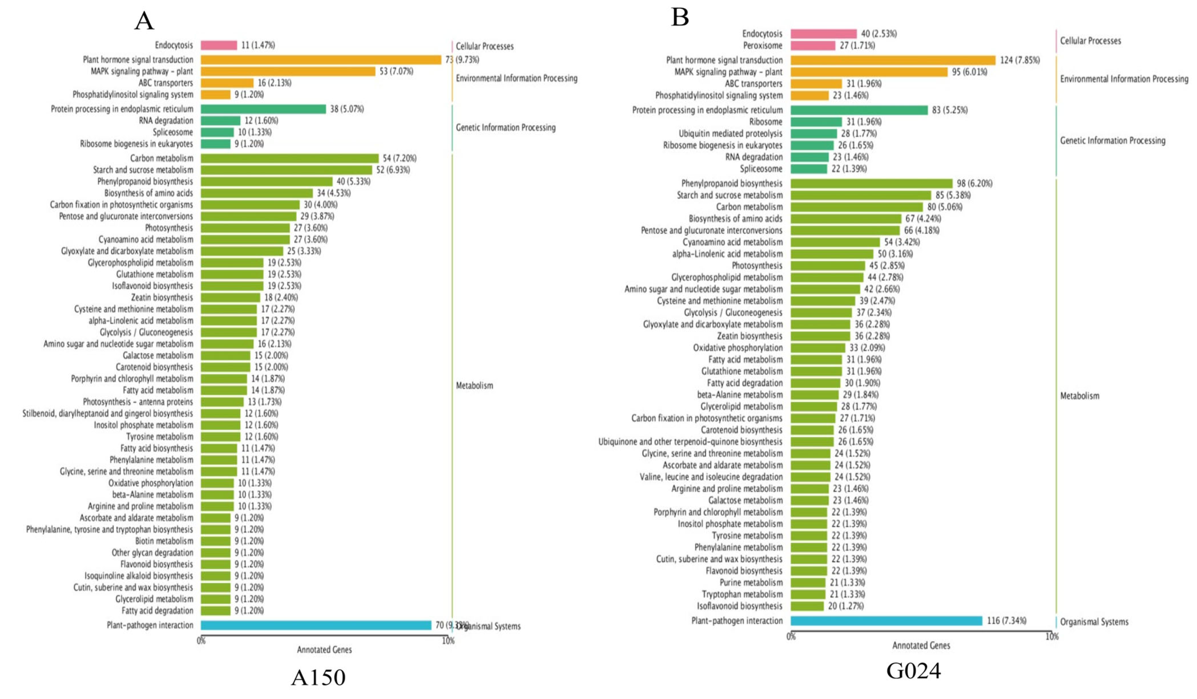 Ijms 24 11819 g009 Ijms 24 11819 g009