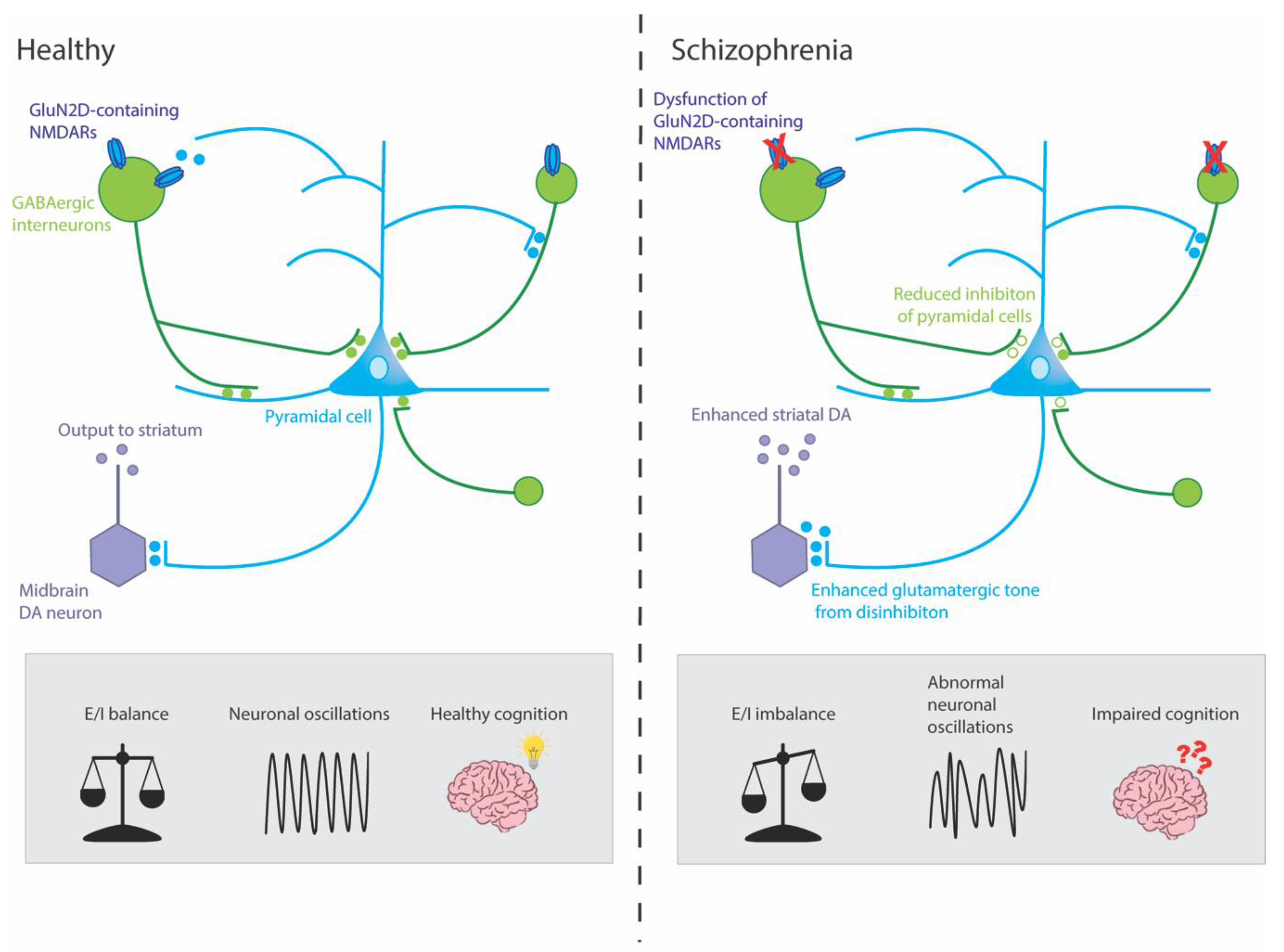 Ijms 24 11835 g001 Ijms 24 11835 g001