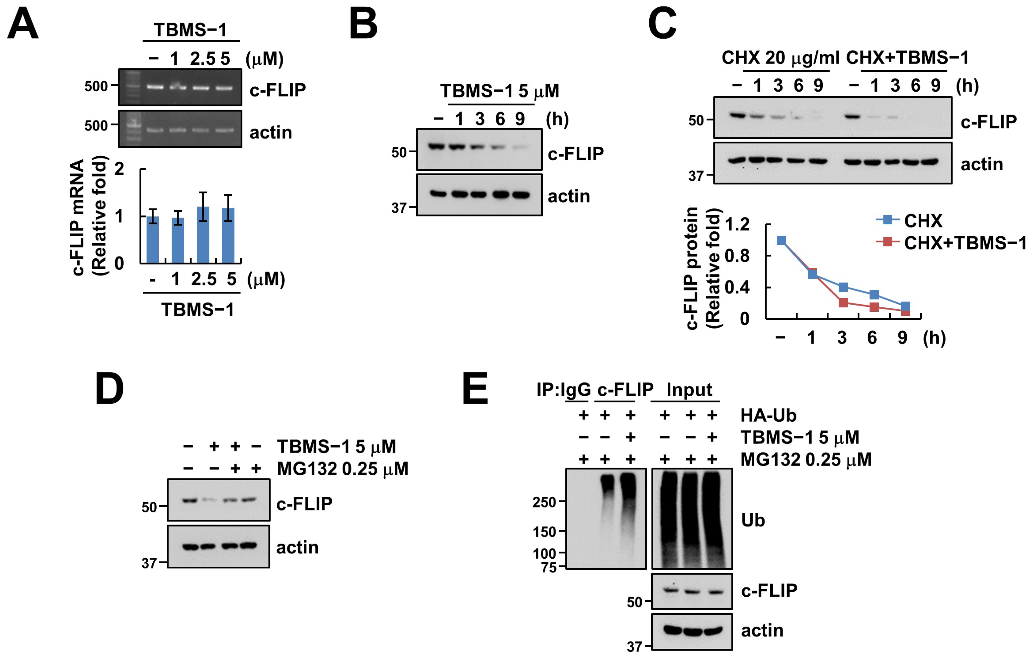 Ijms 24 11840 g003 Ijms 24 11840 g003