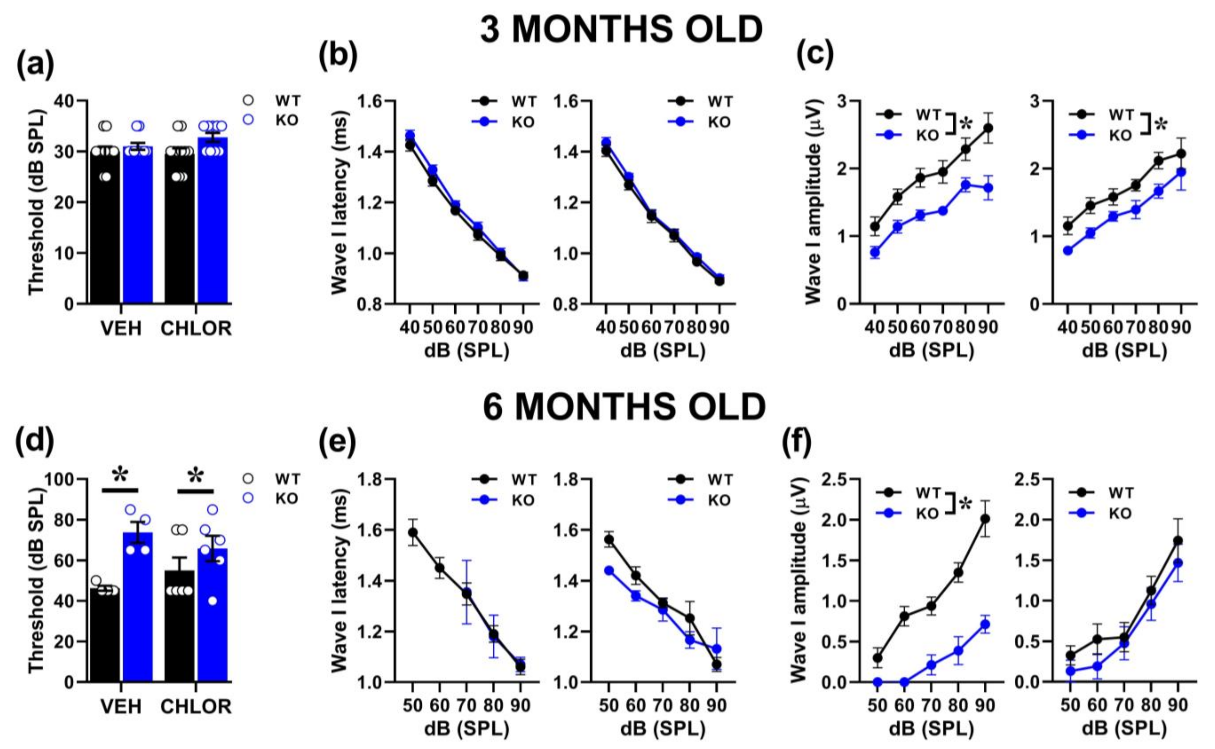 Ijms 24 11863 g006 Ijms 24 11863 g006