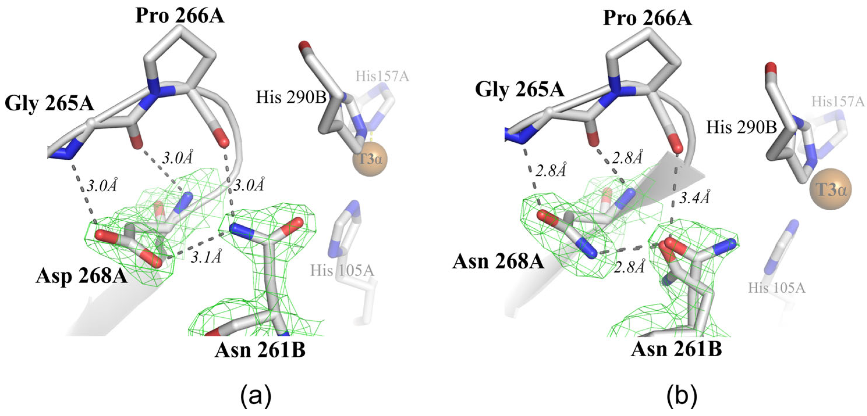 Ijms 24 11909 g003 Ijms 24 11909 g003