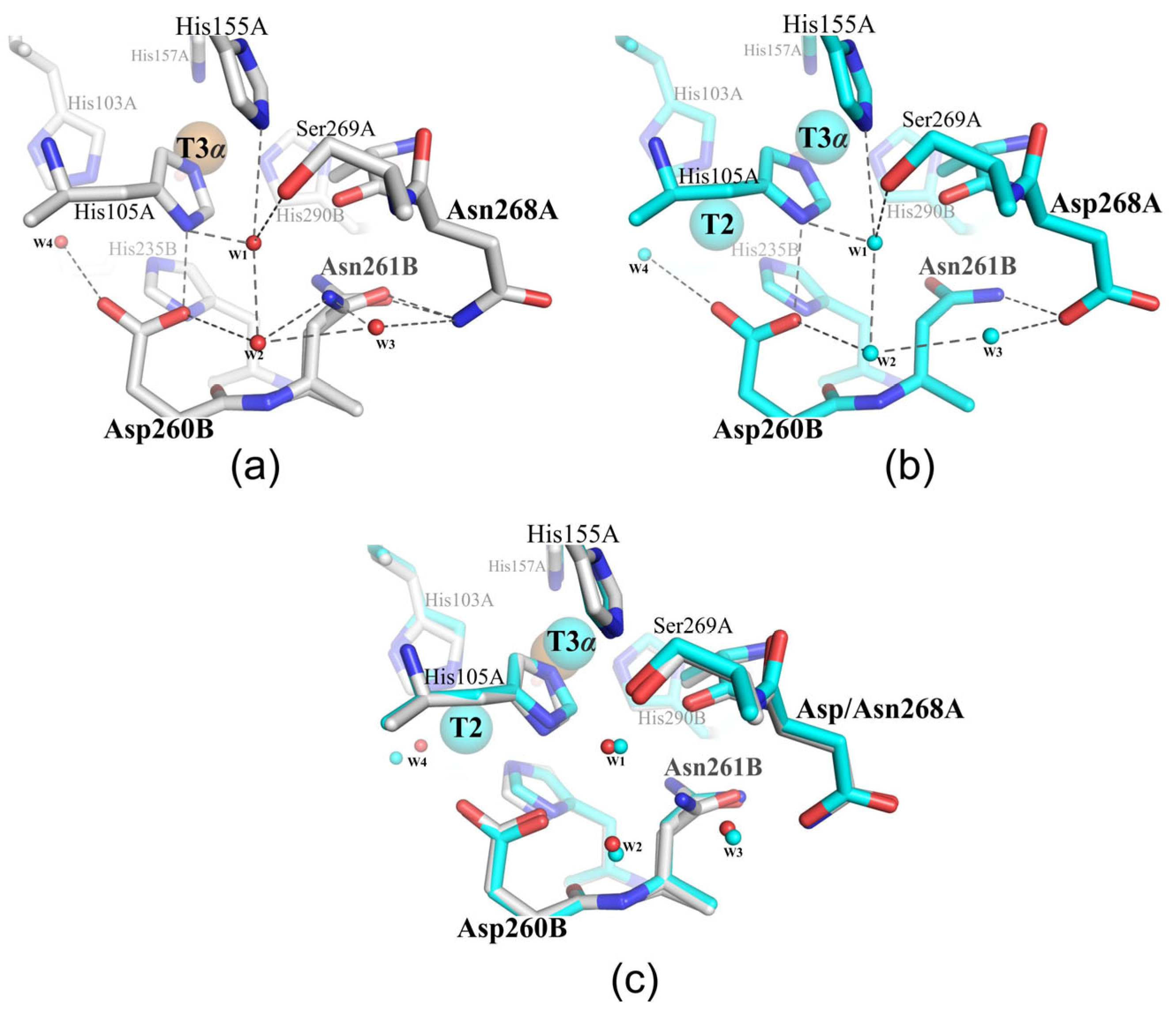 Ijms 24 11909 g004 Ijms 24 11909 g004