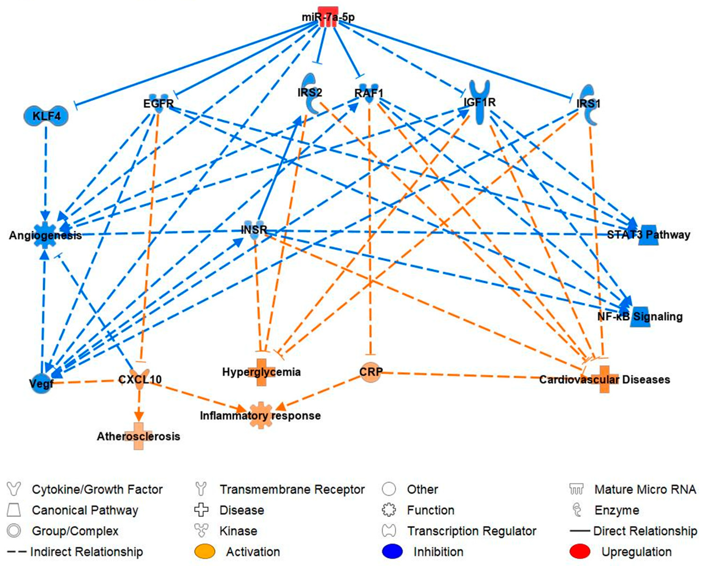 Ijms 24 11977 g004 Ijms 24 11977 g004