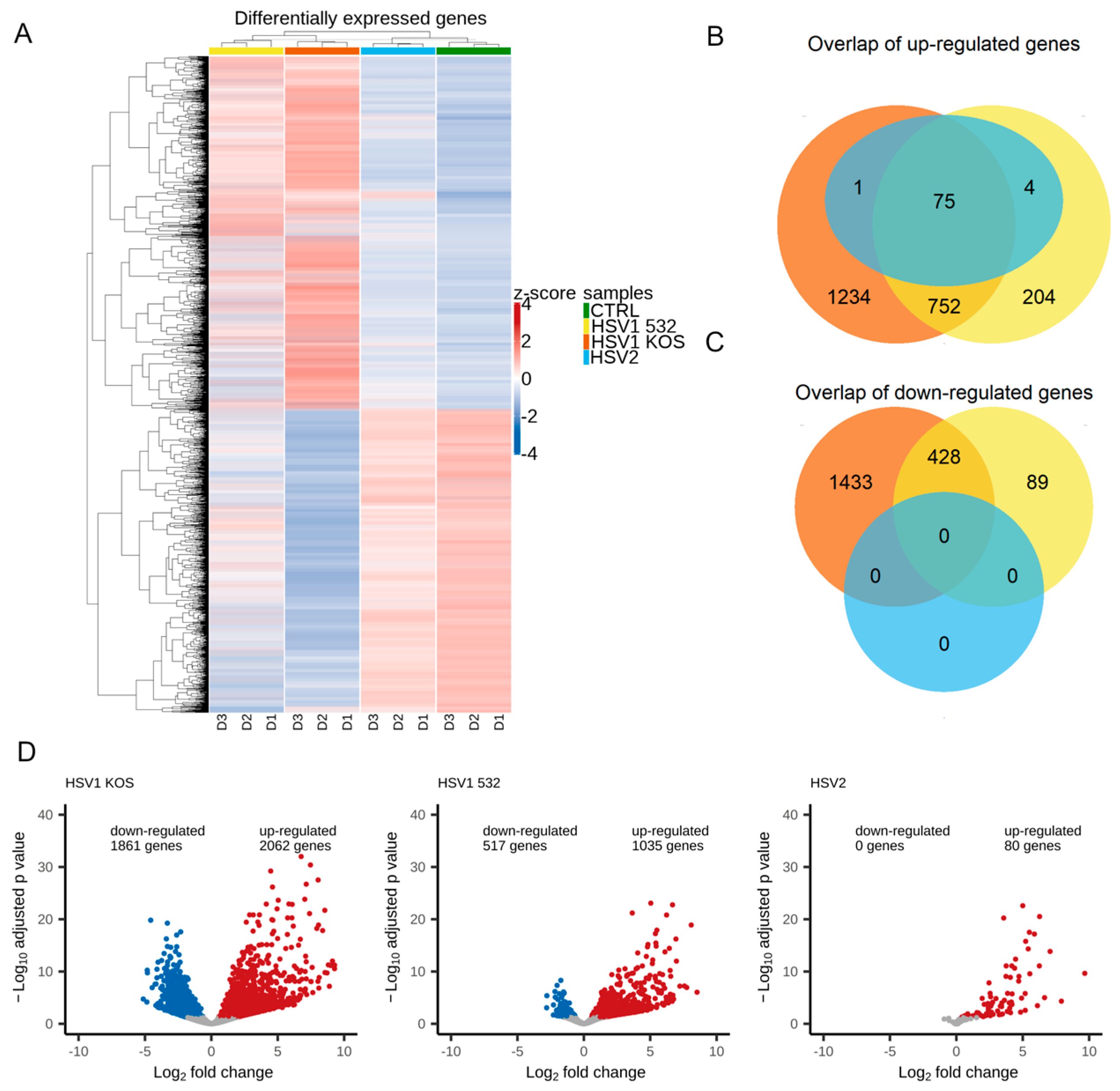 Ijms 24 11989 g001 Ijms 24 11989 g001