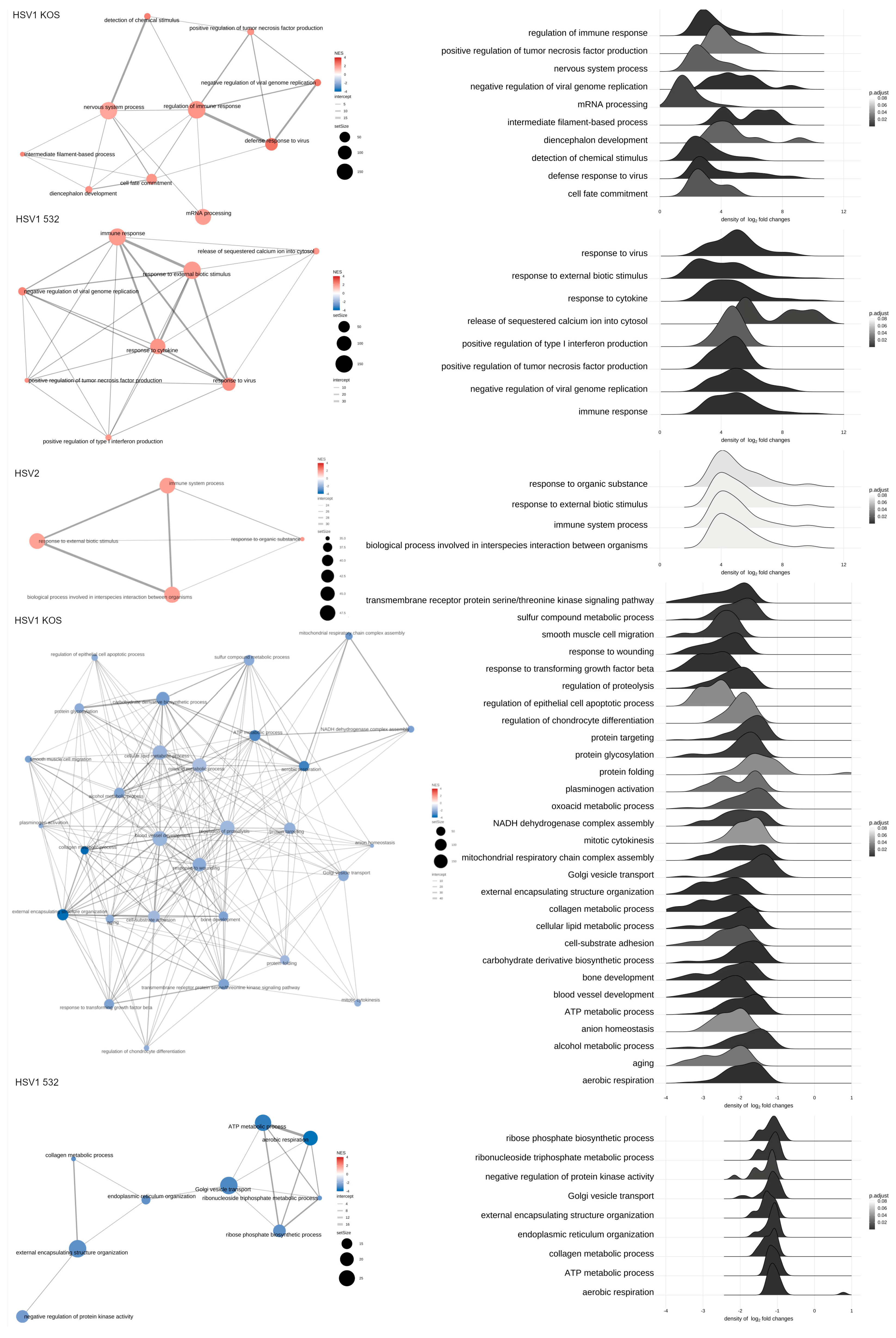 Ijms 24 11989 g002 Ijms 24 11989 g002