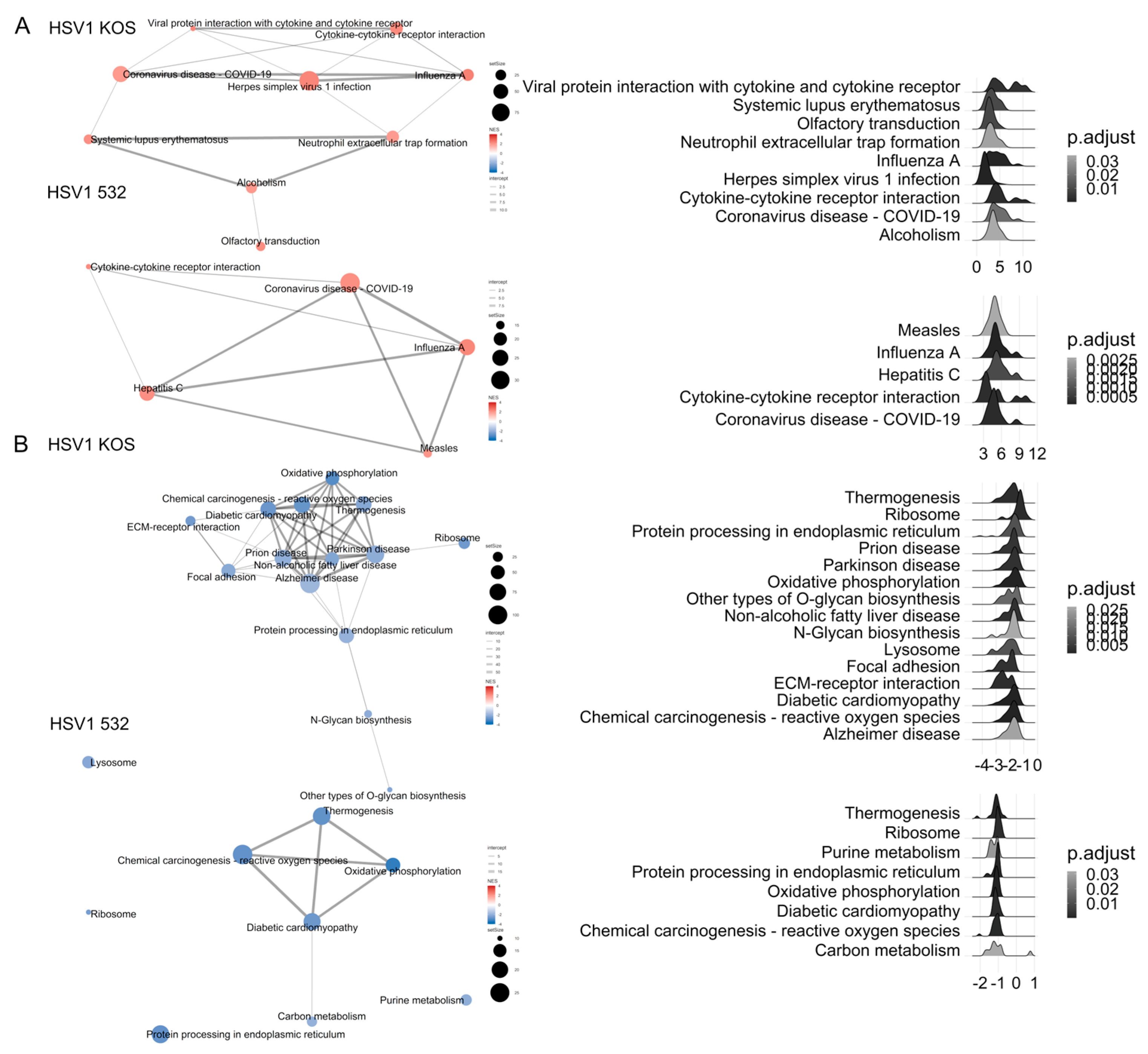 Ijms 24 11989 g003 Ijms 24 11989 g003