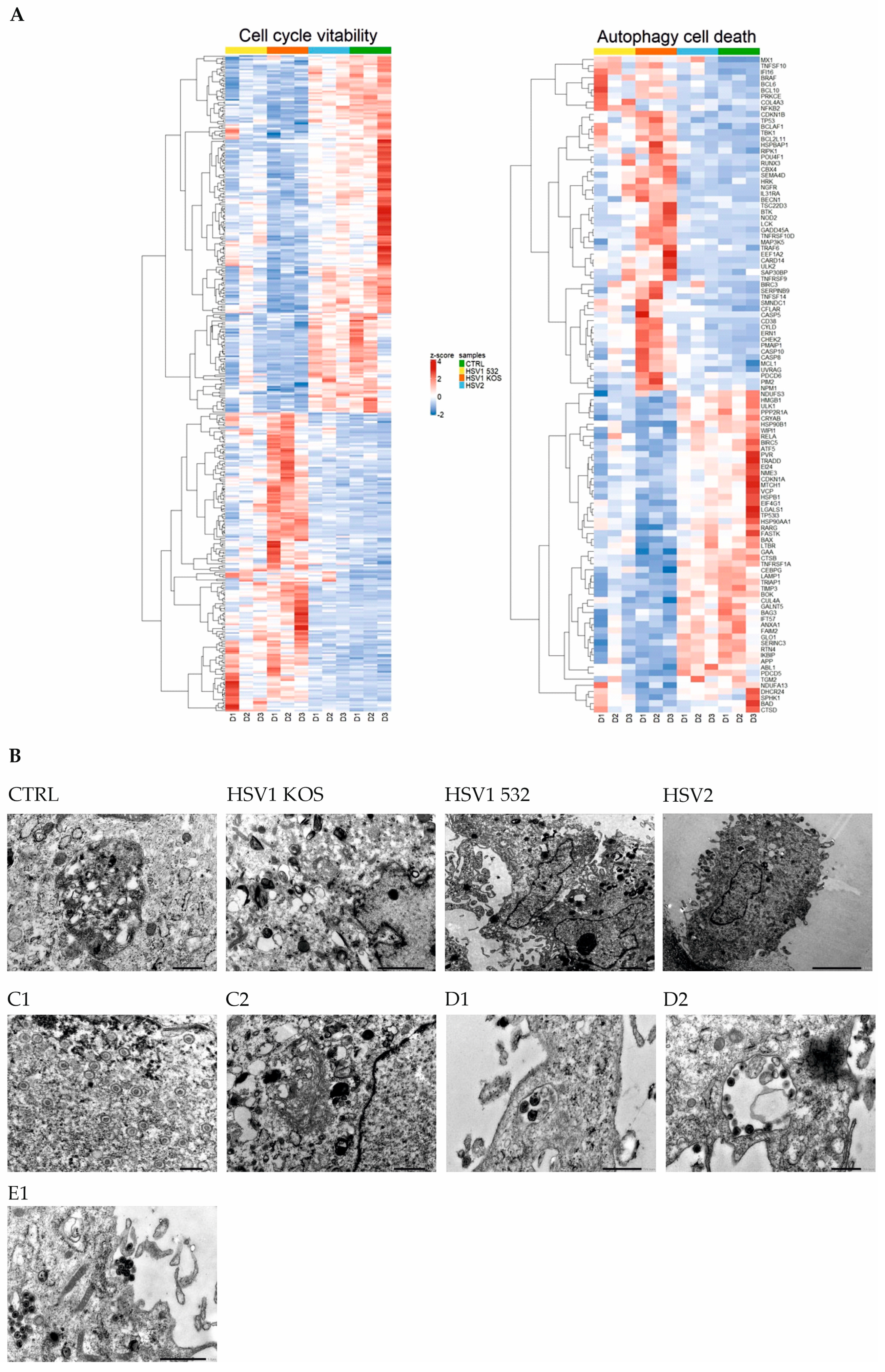 Ijms 24 11989 g005 Ijms 24 11989 g005